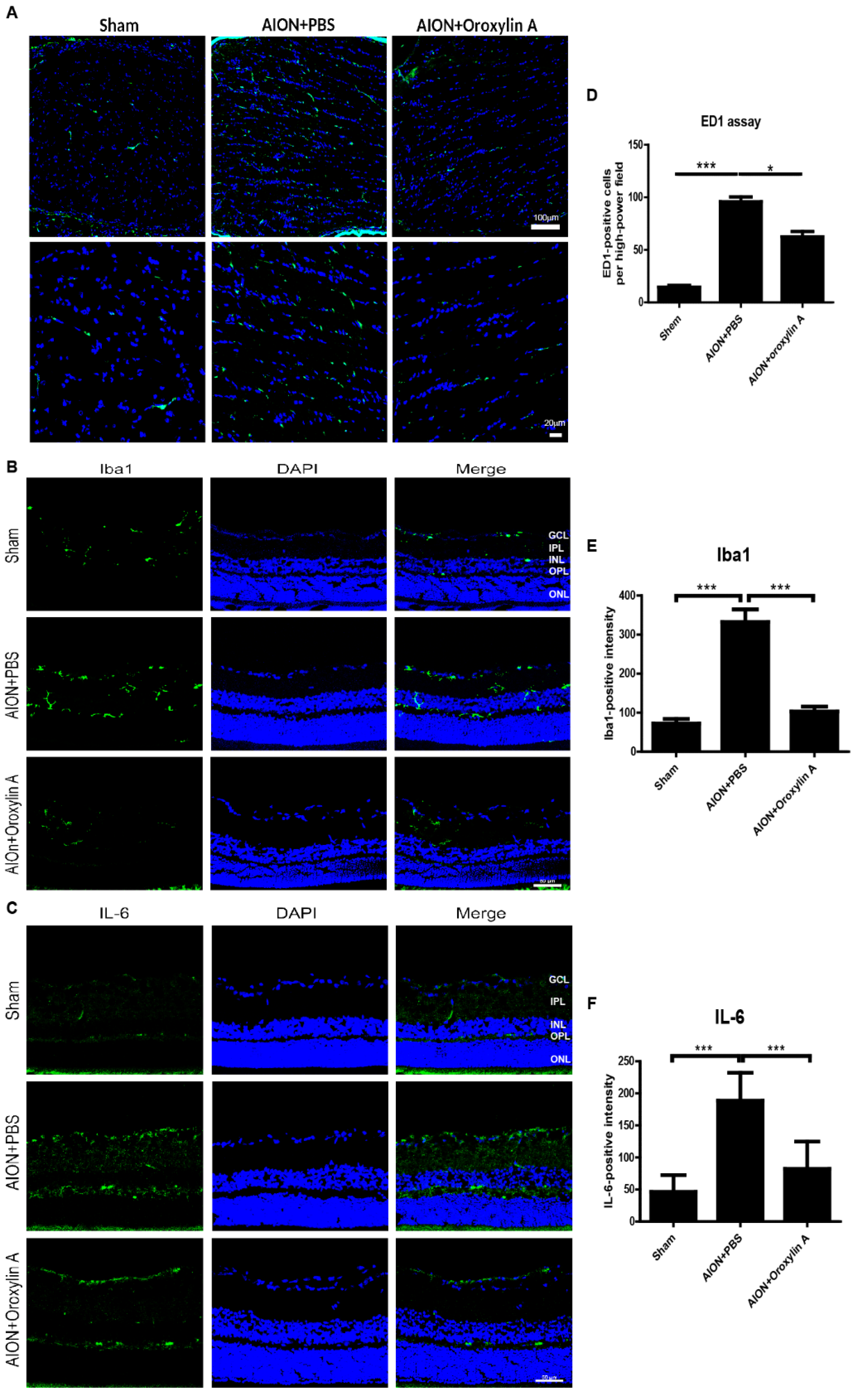 Antioxidants 10 00902 g007