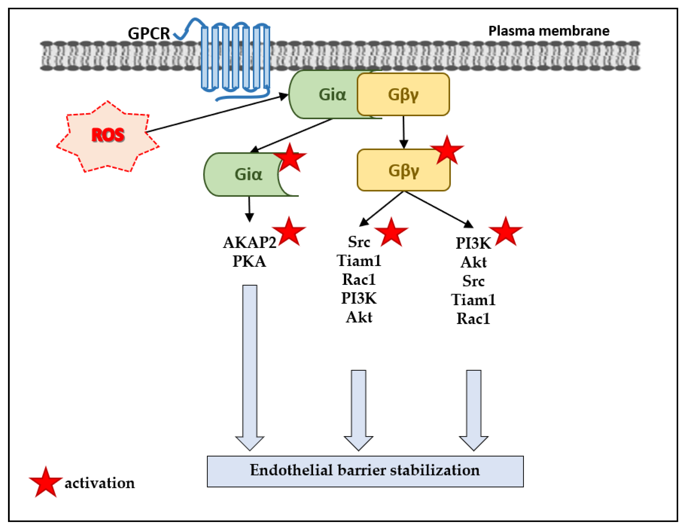 Antioxidants 10 00904 g003