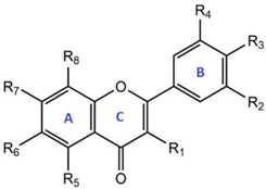 Antioxidants 10 00909 i001 Antioxidants 10 00909 i001