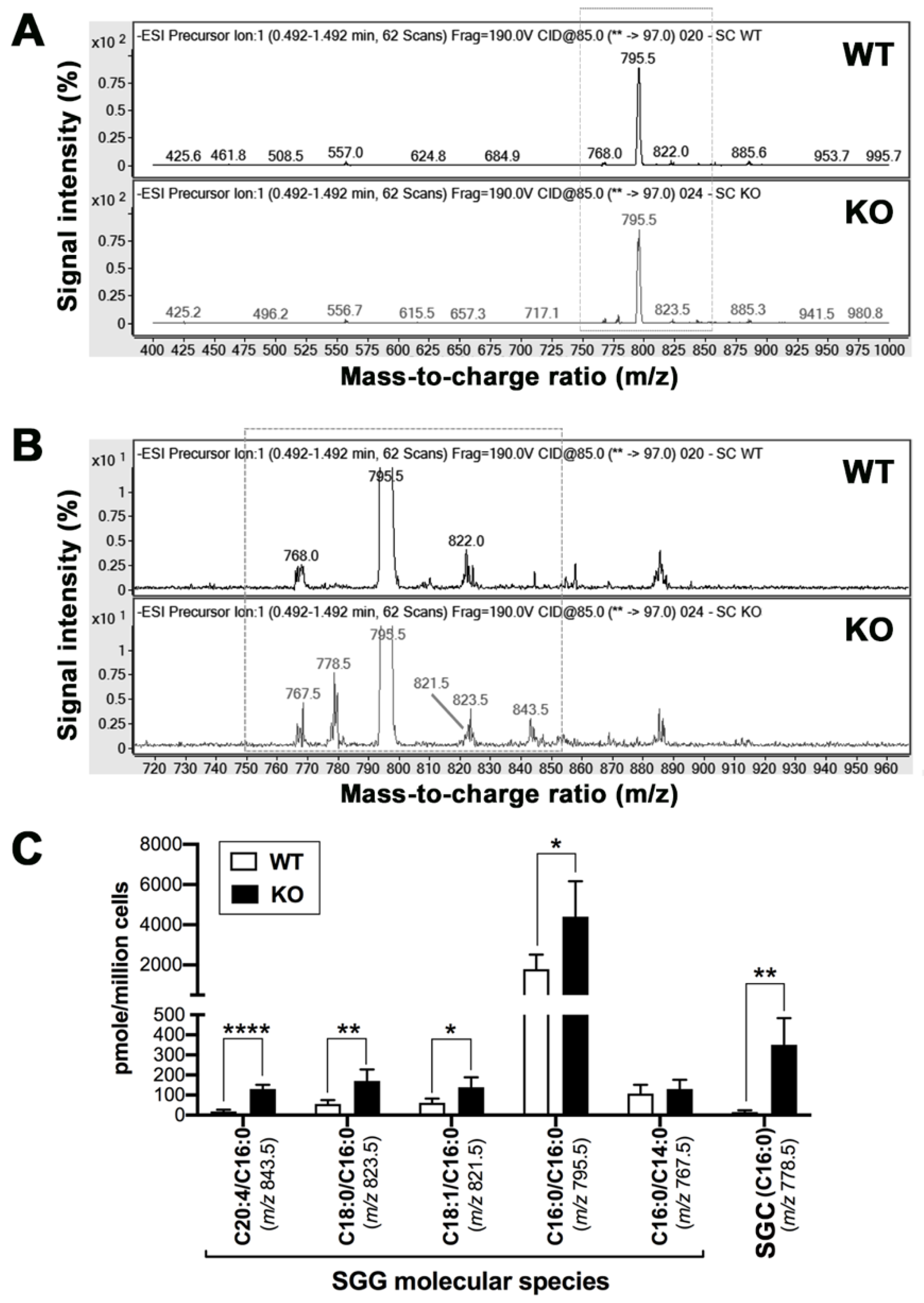 Antioxidants 10 00912 g003
