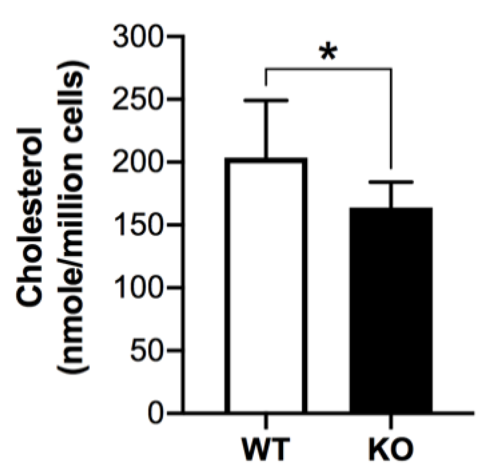 Antioxidants 10 00912 g004