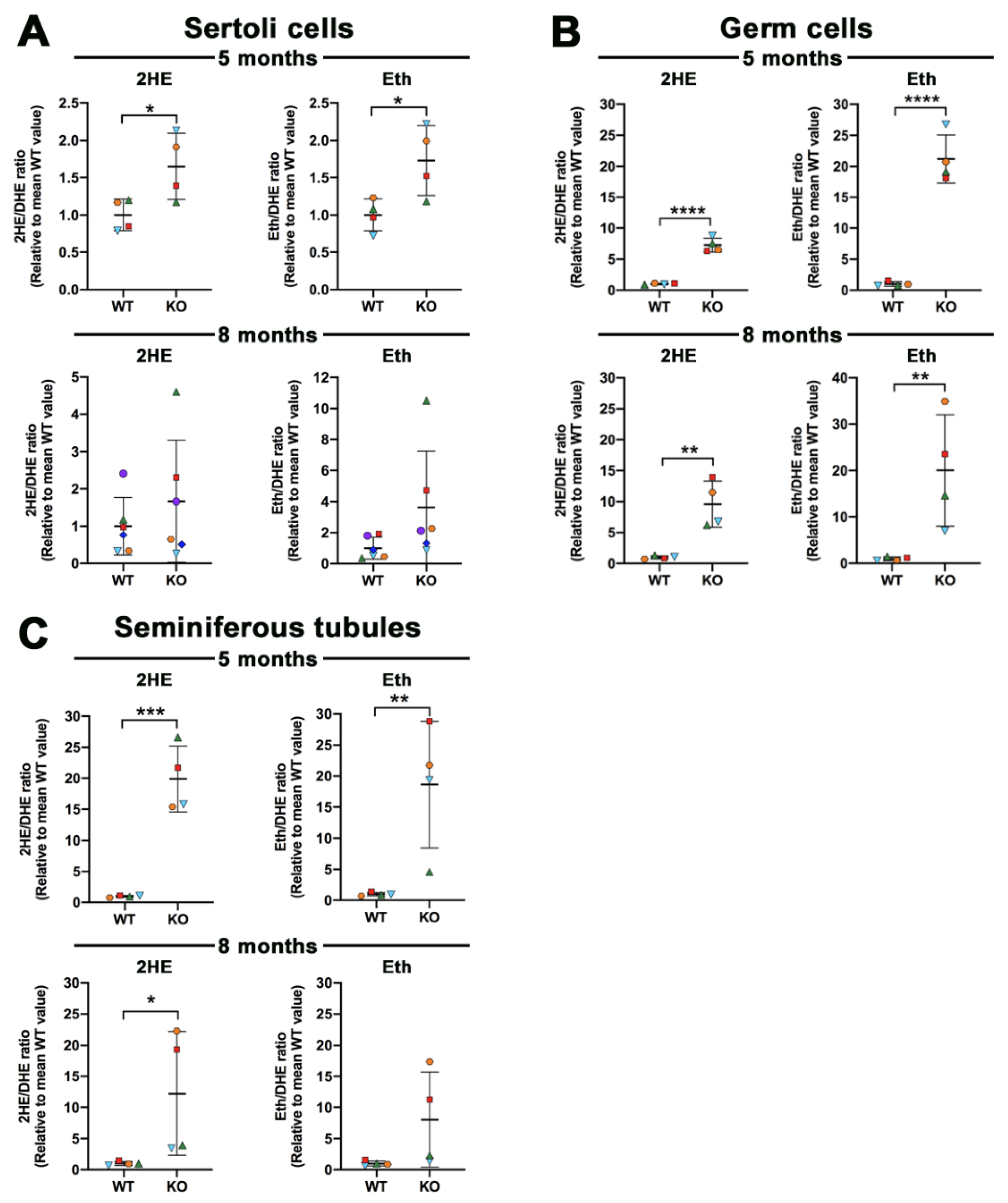 Antioxidants 10 00912 g005
