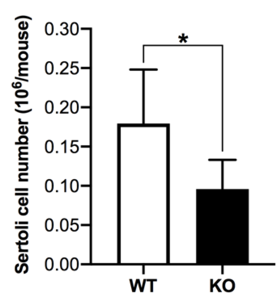Antioxidants 10 00912 g008