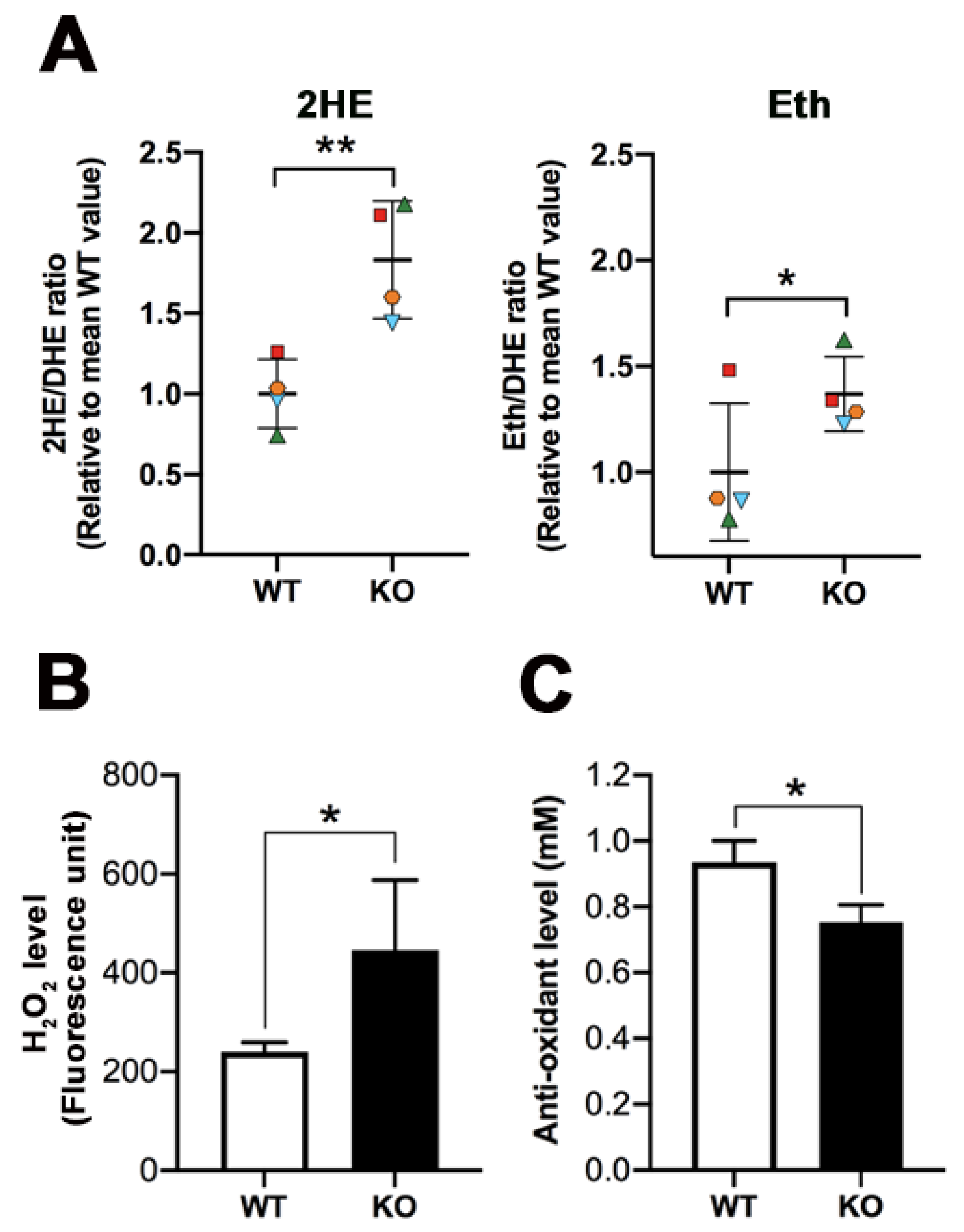Antioxidants 10 00912 g009