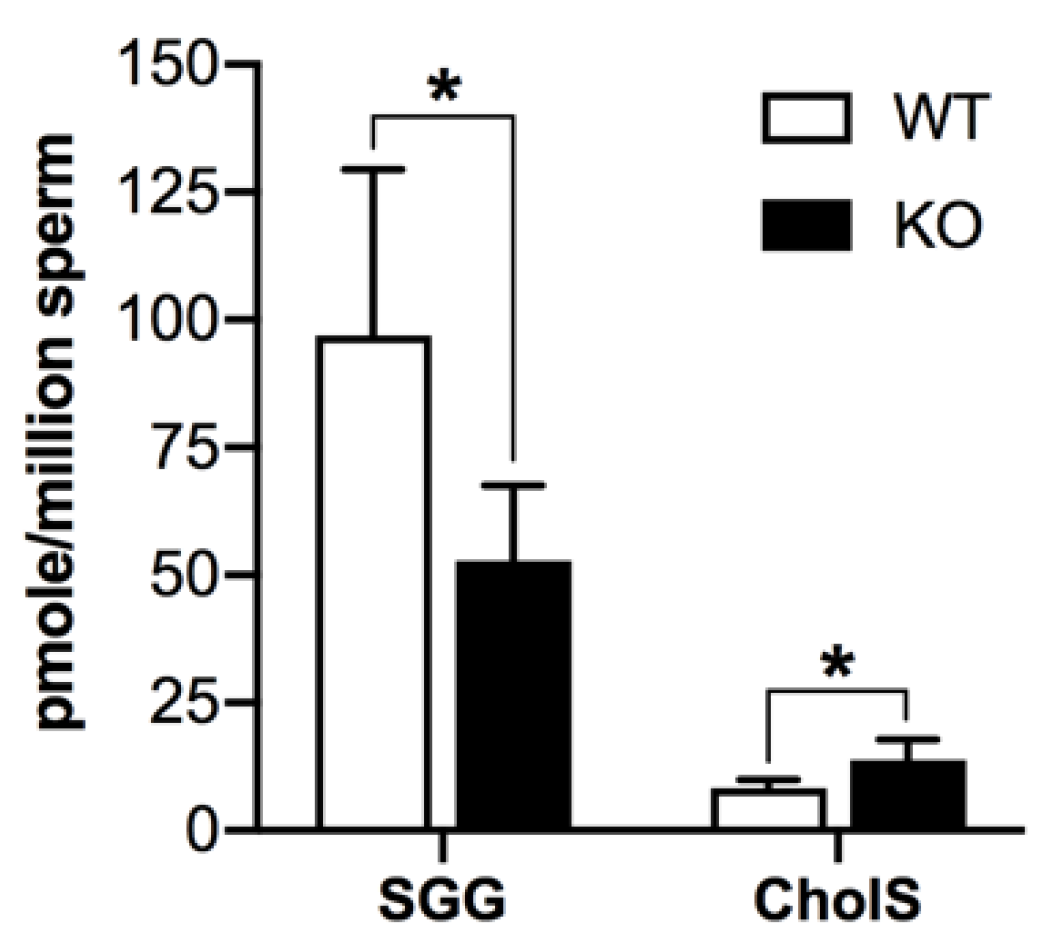 Antioxidants 10 00912 g010