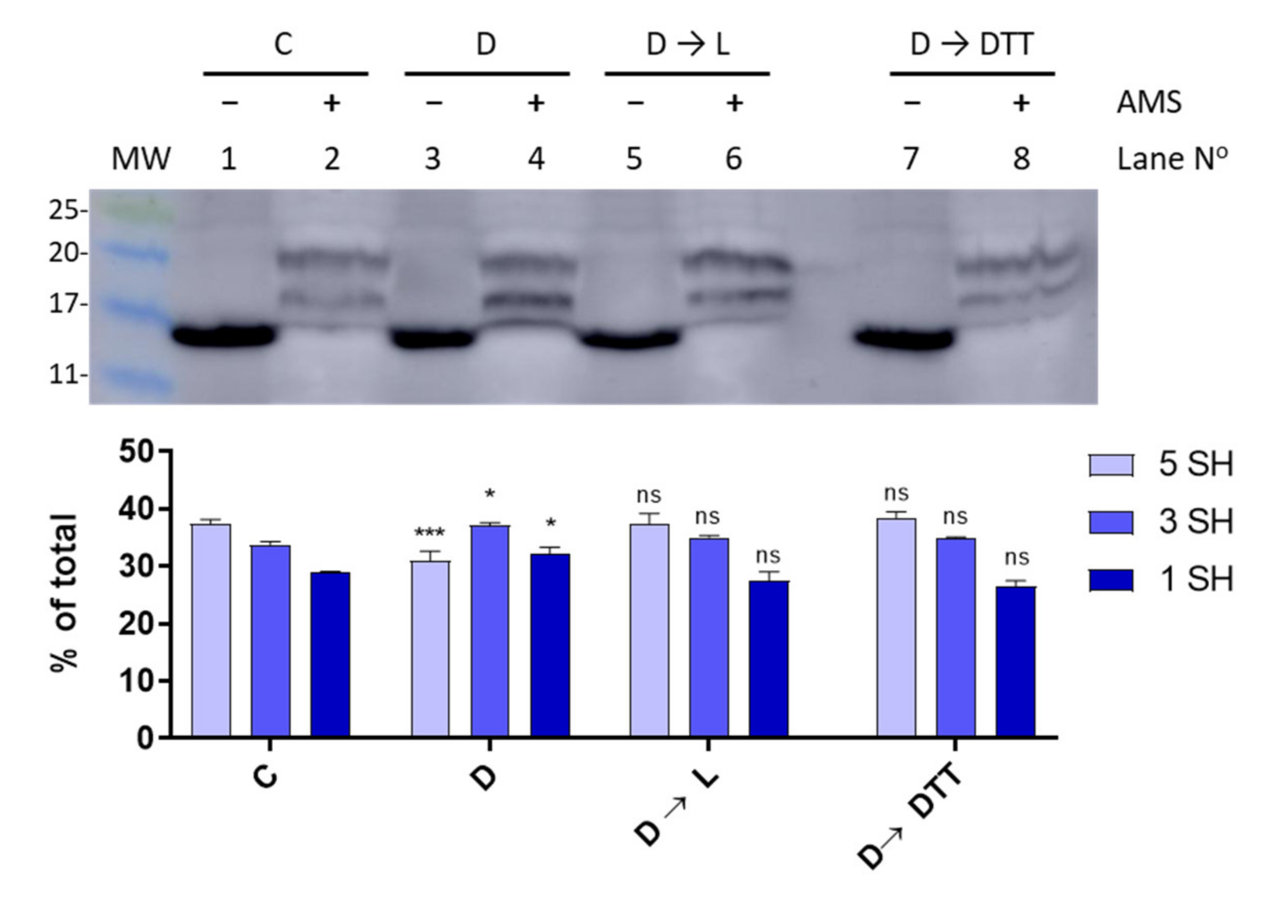 Siwakorn ページ Thioredoxin Dependent Changes in the Redox States of FurA