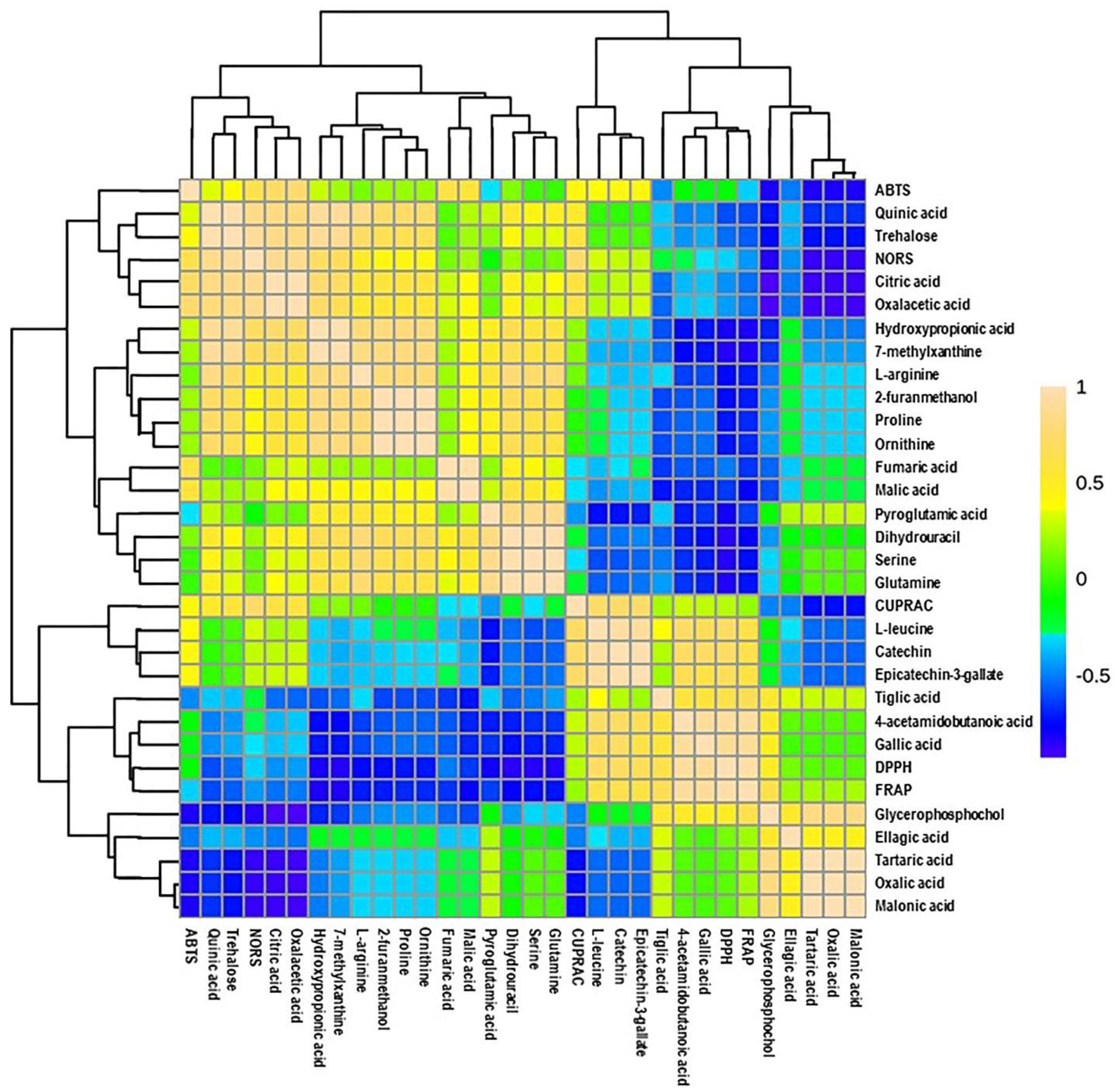 Antioxidants 10 00914 g006