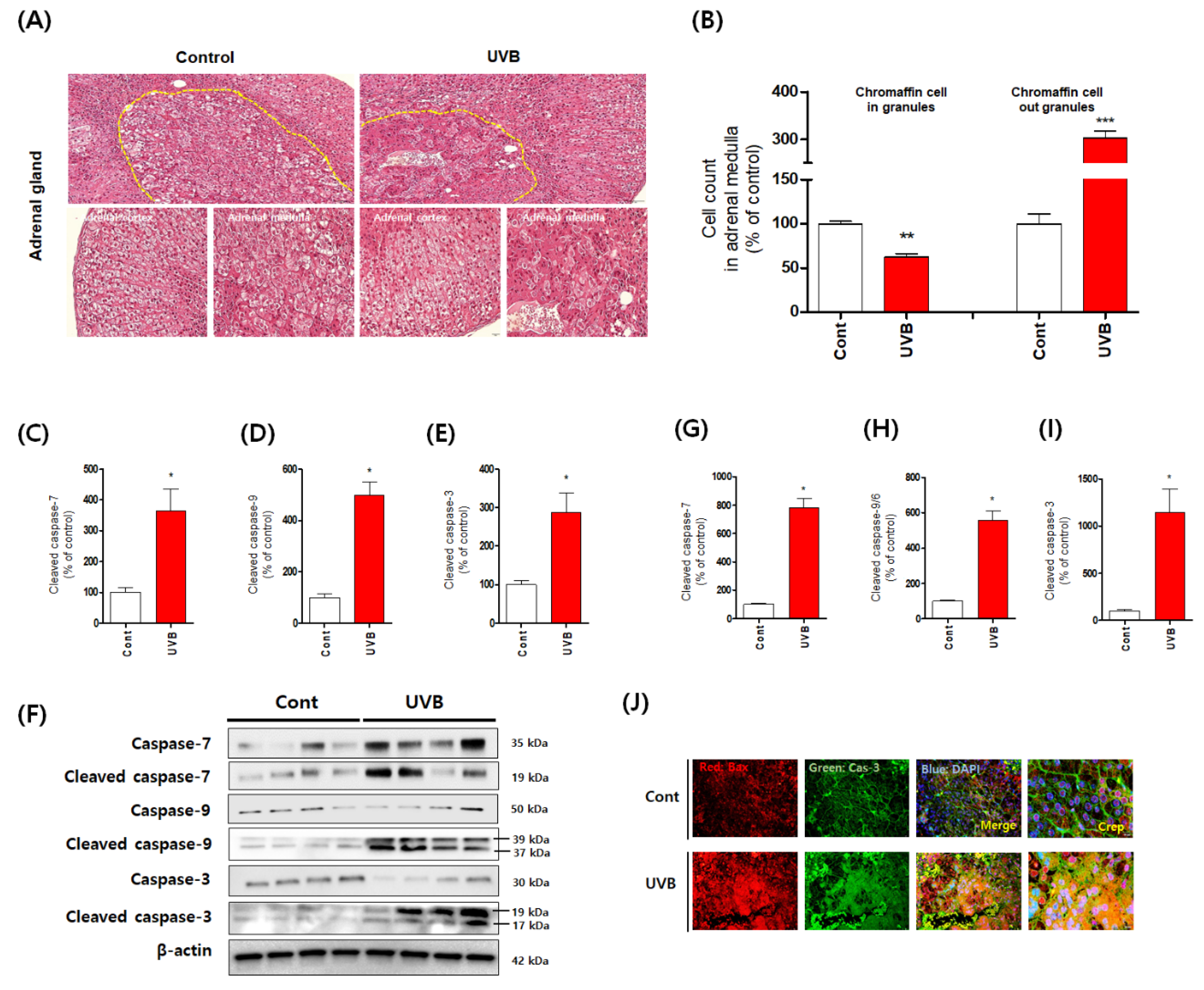 Antioxidants 10 00920 g002