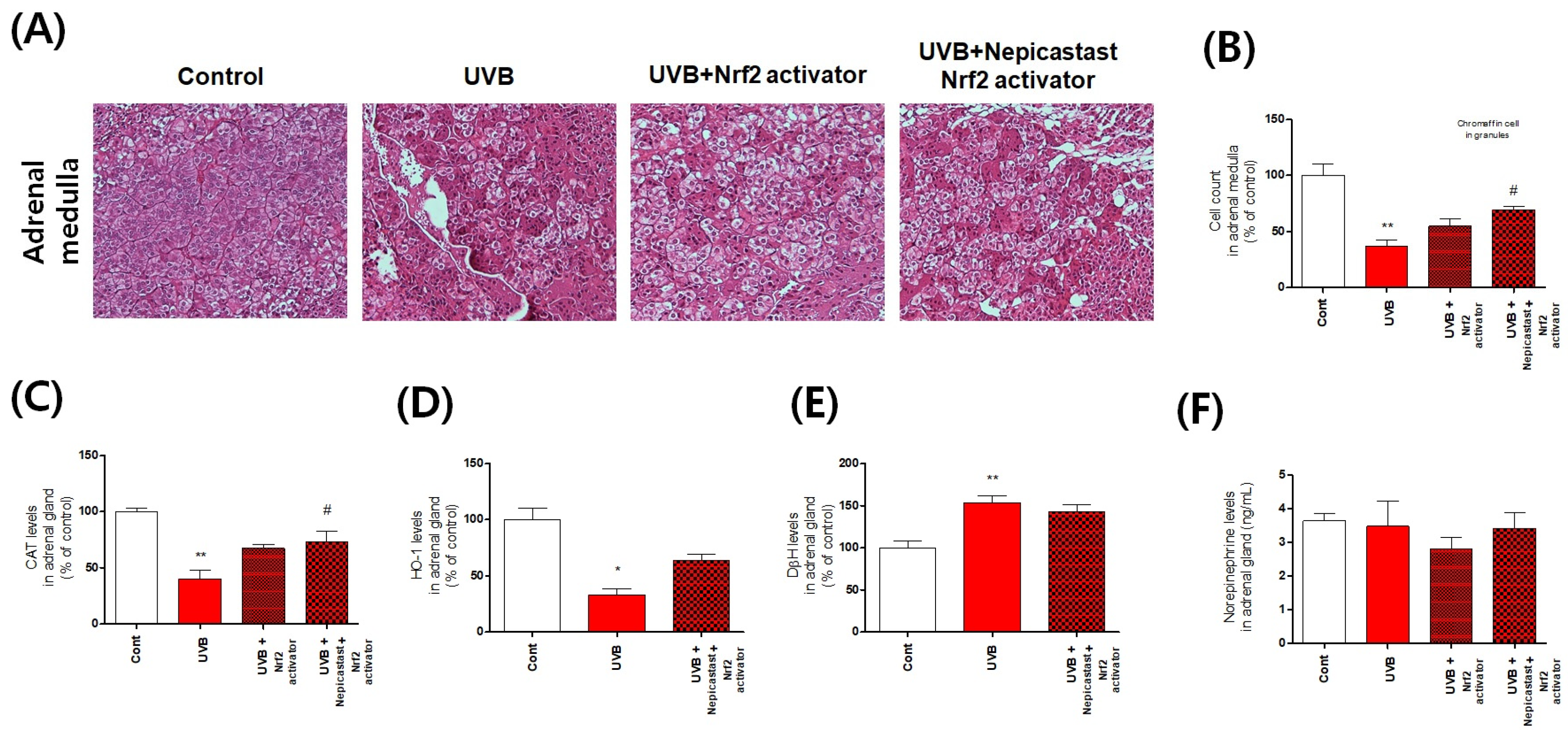 Antioxidants 10 00920 g006