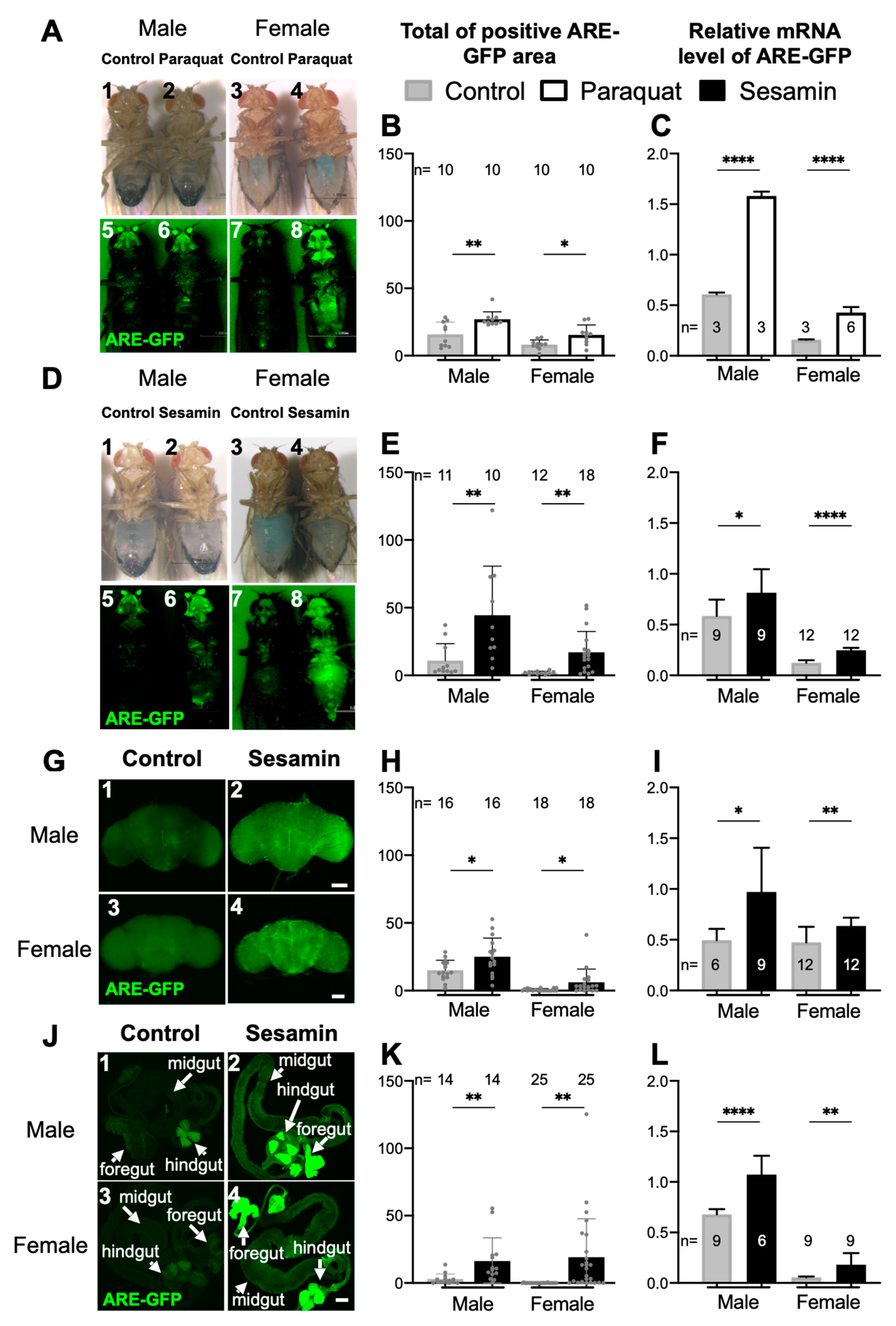 PDF) Ex vivo model exhibits protective effects of sesamin against