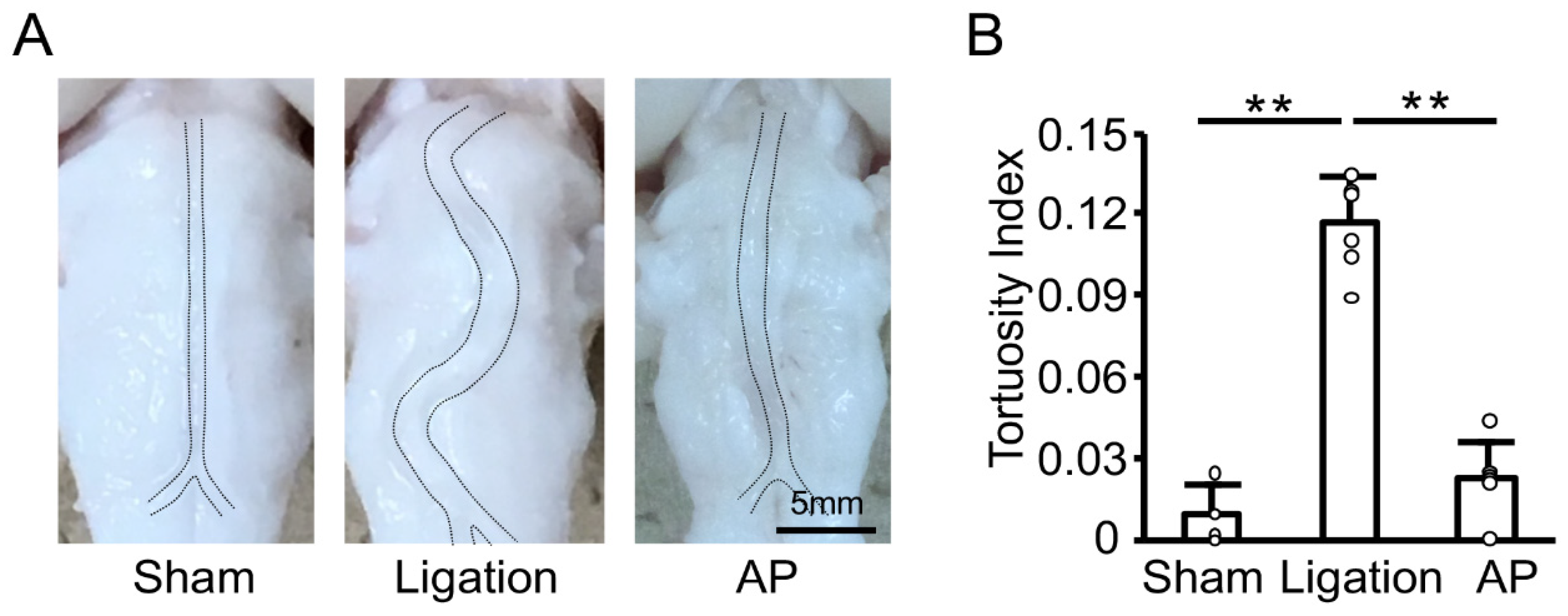 Antioxidants 10 00926 g003 Antioxidants 10 00926 g003
