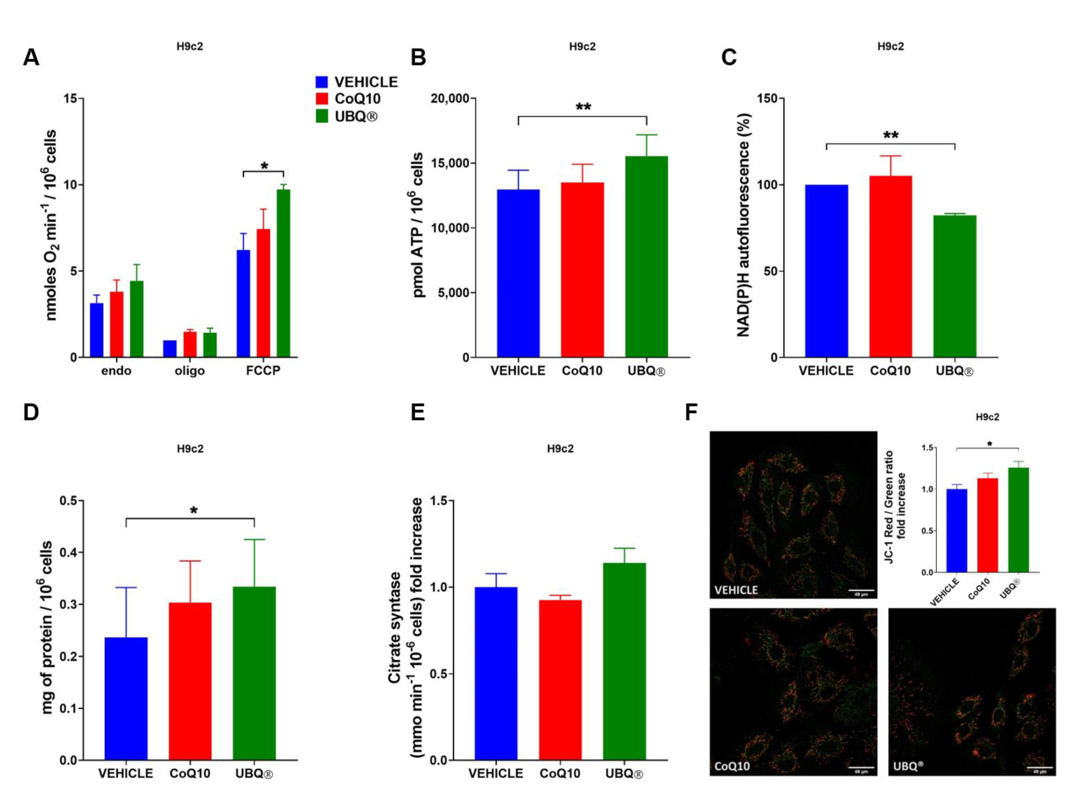 Antioxidants 10 00927 g003