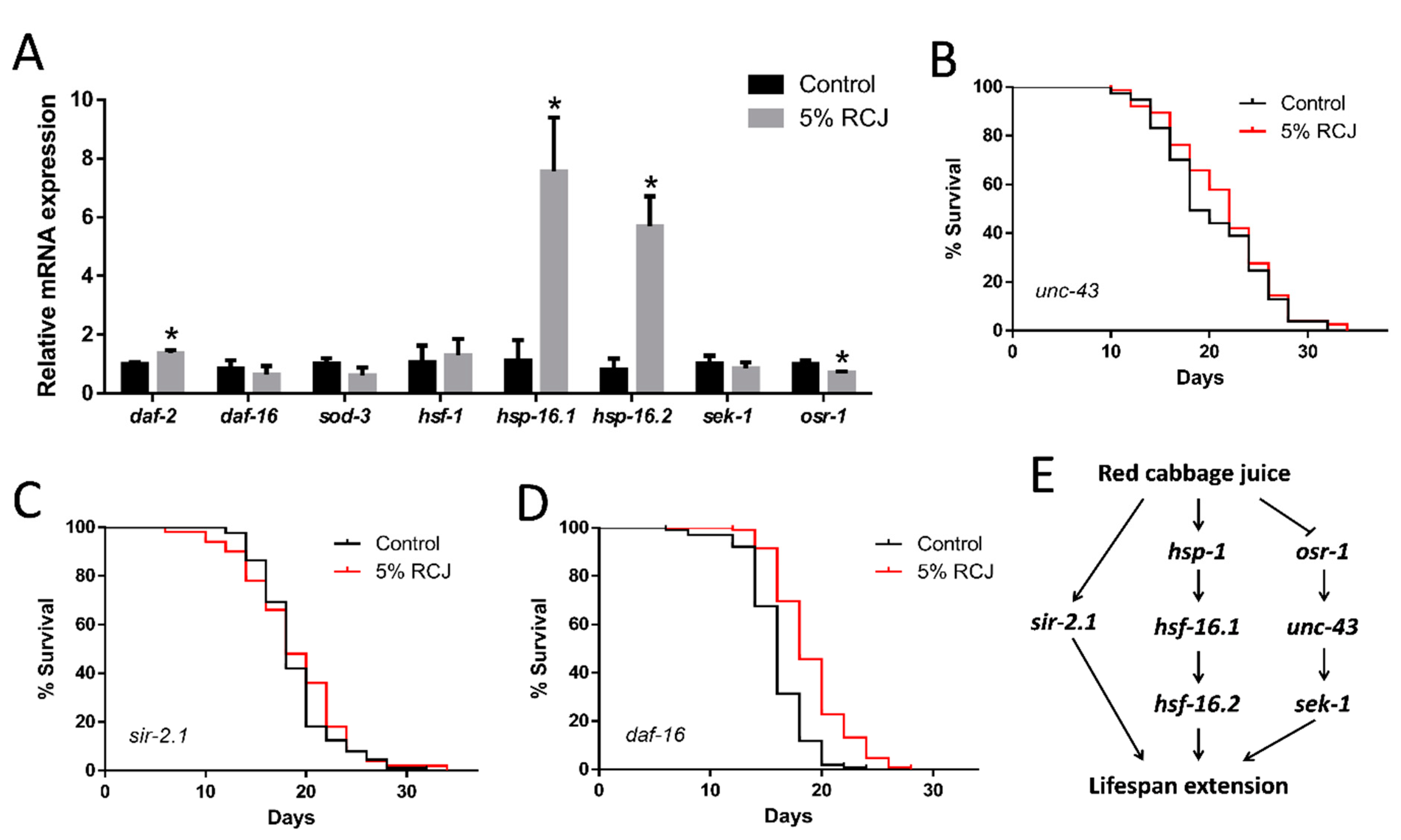Antioxidants 10 00930 g007 Antioxidants 10 00930 g007