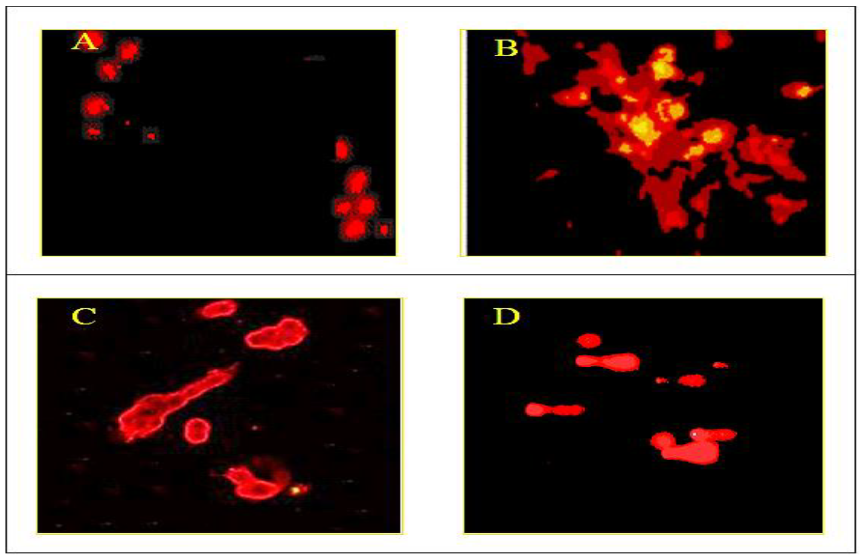 Antioxidants 10 00934 g005
