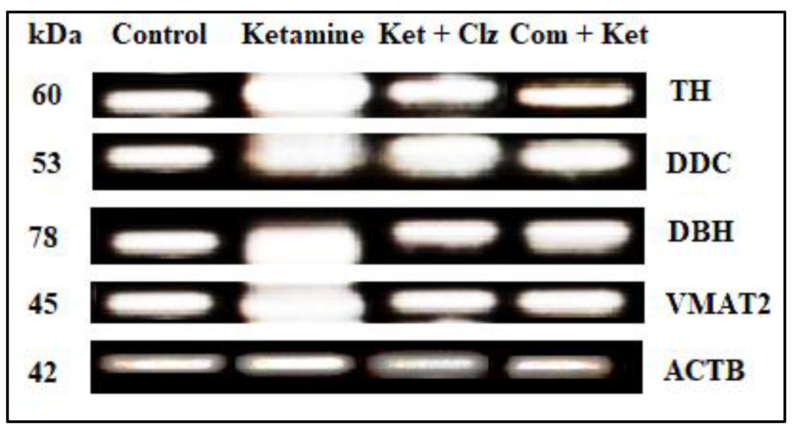 Antioxidants 10 00934 g009