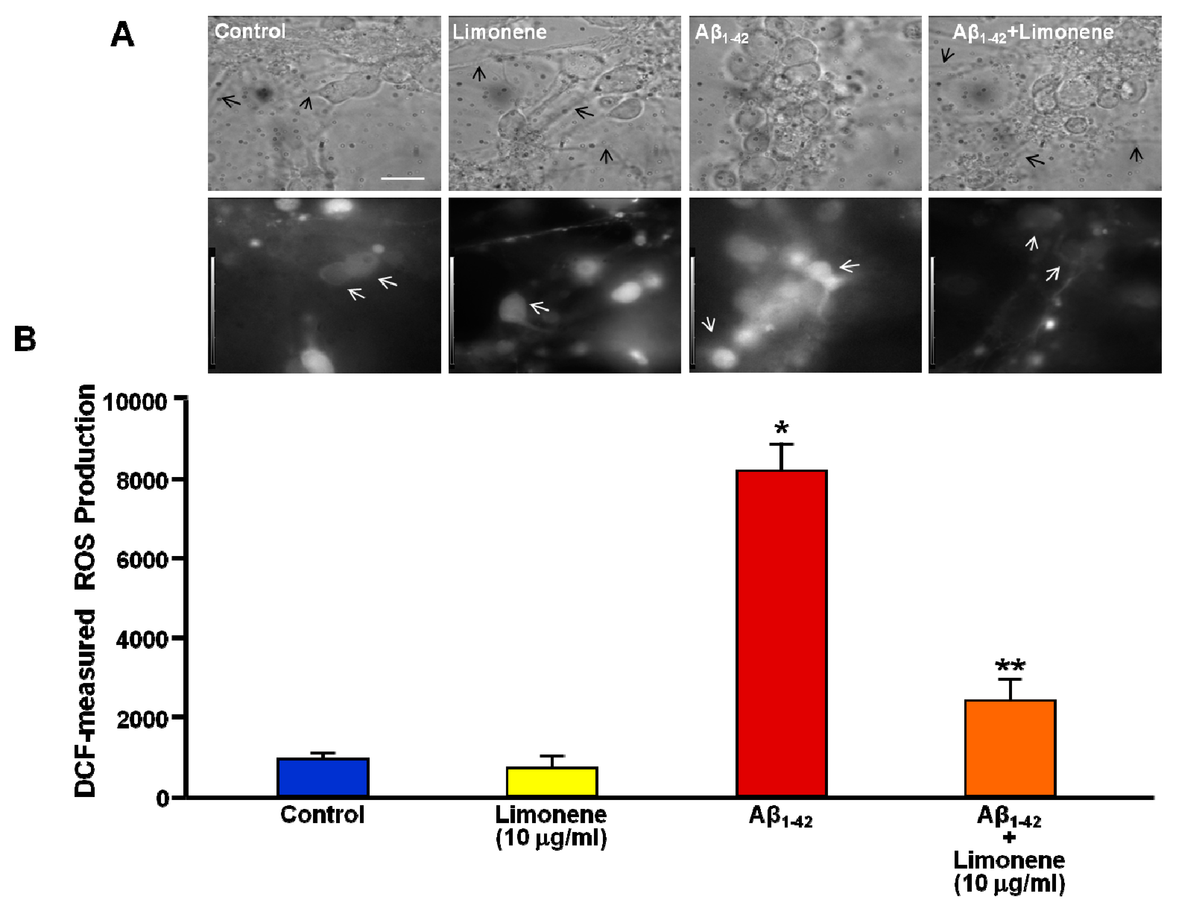 Antioxidants 10 00937 g003