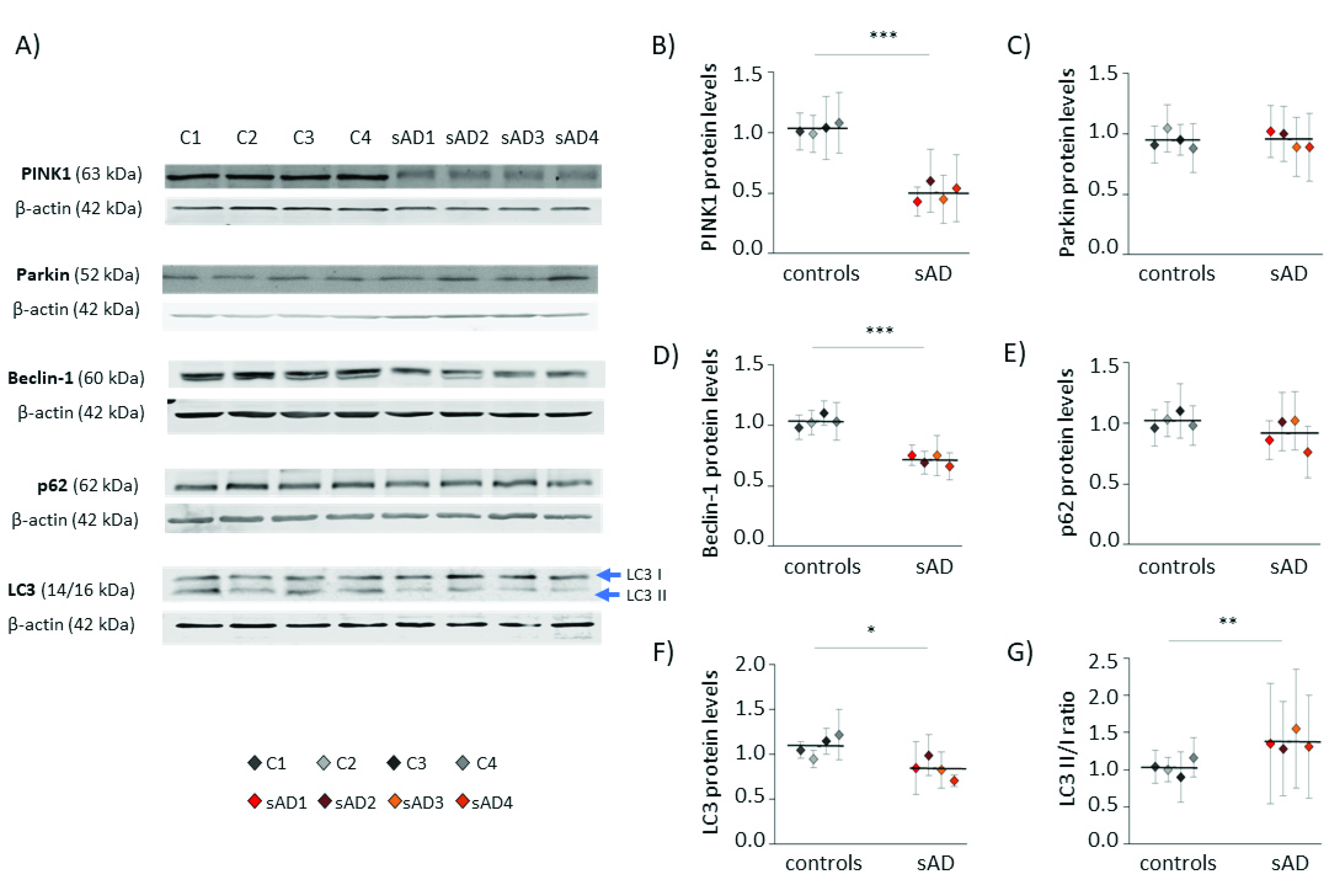 Antioxidants 10 00938 g003 Antioxidants 10 00938 g003