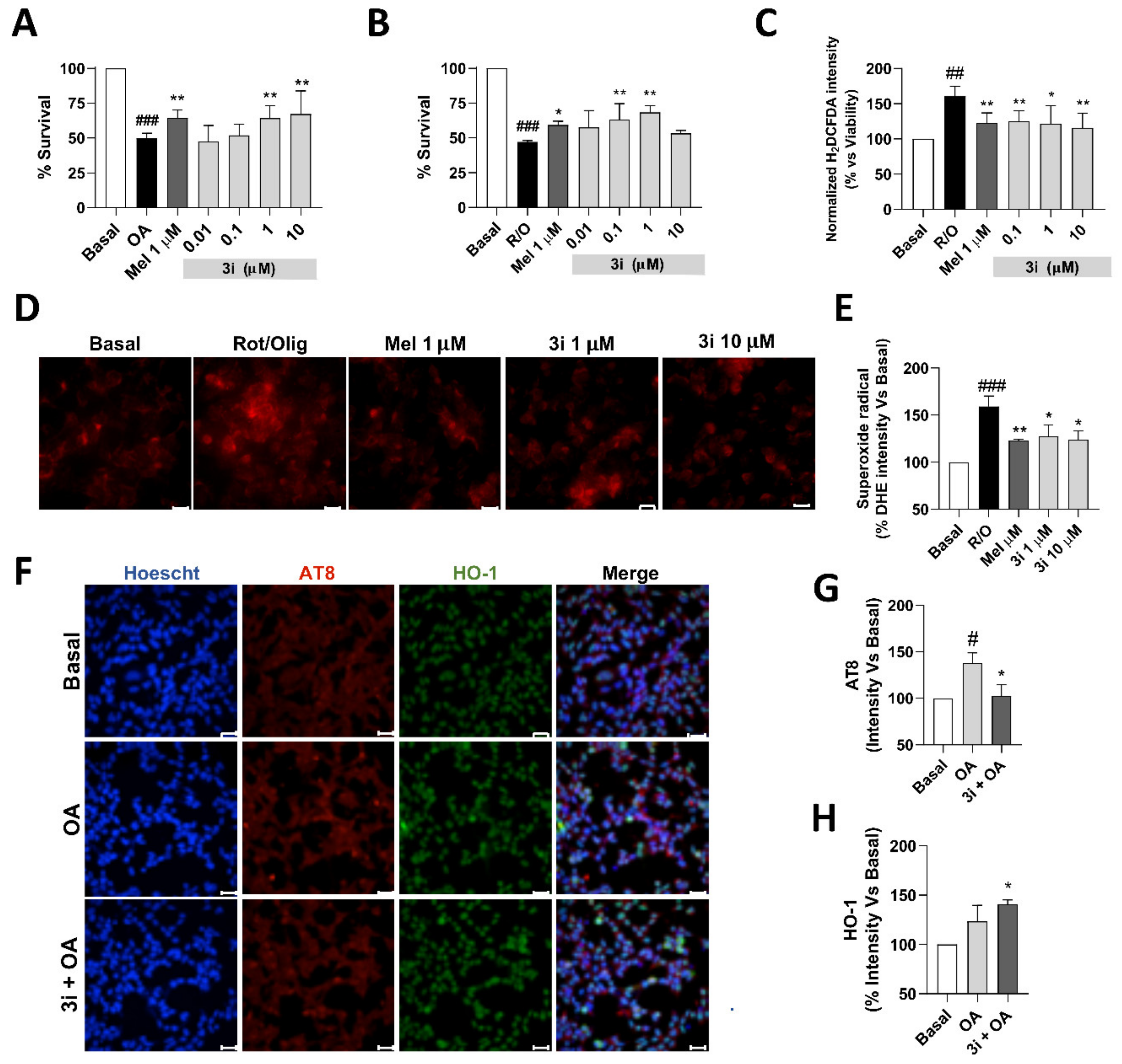 Antioxidants 10 00941 g007 Antioxidants 10 00941 g007