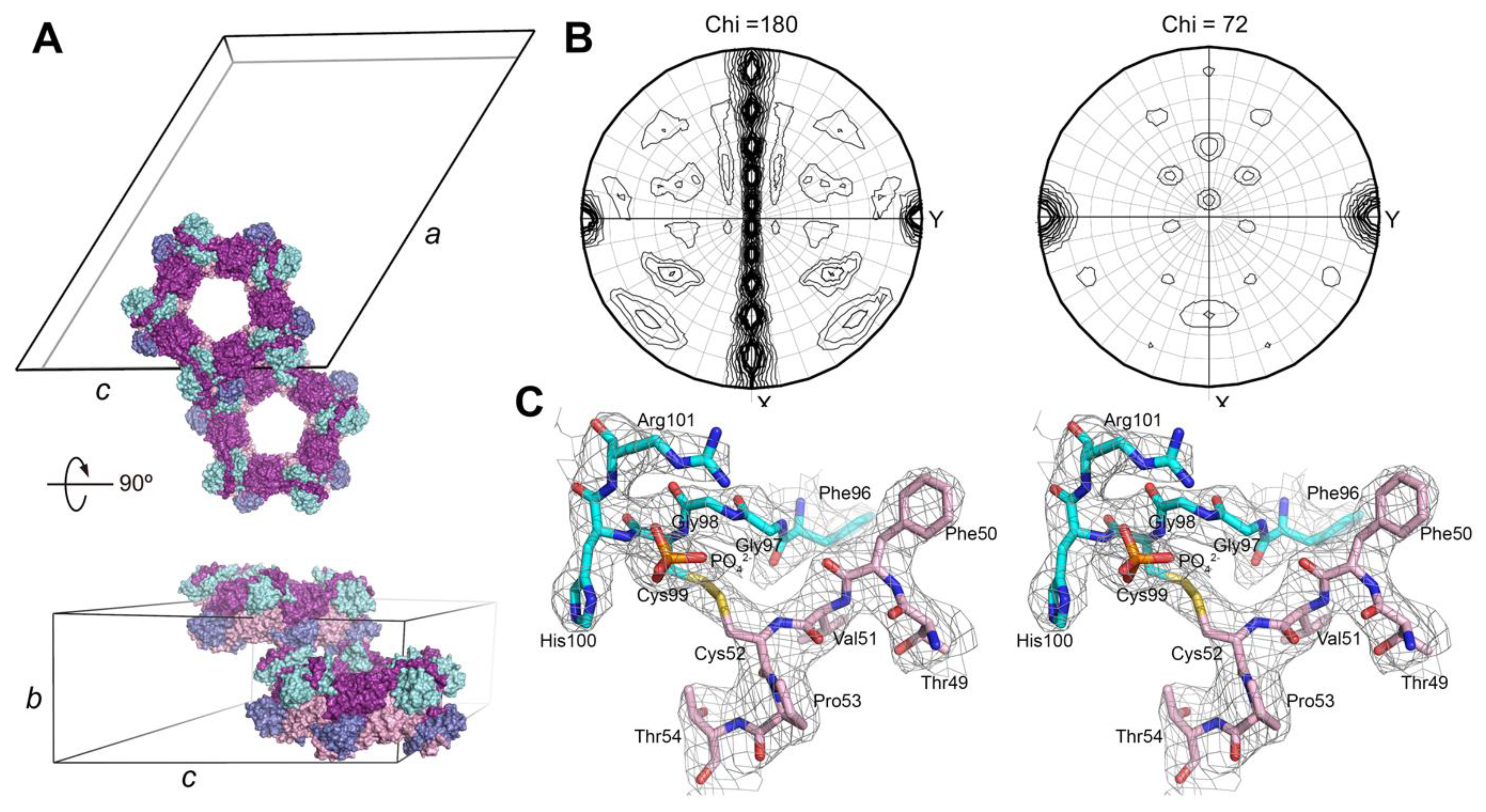 Antioxidants 10 00946 g002 Antioxidants 10 00946 g002