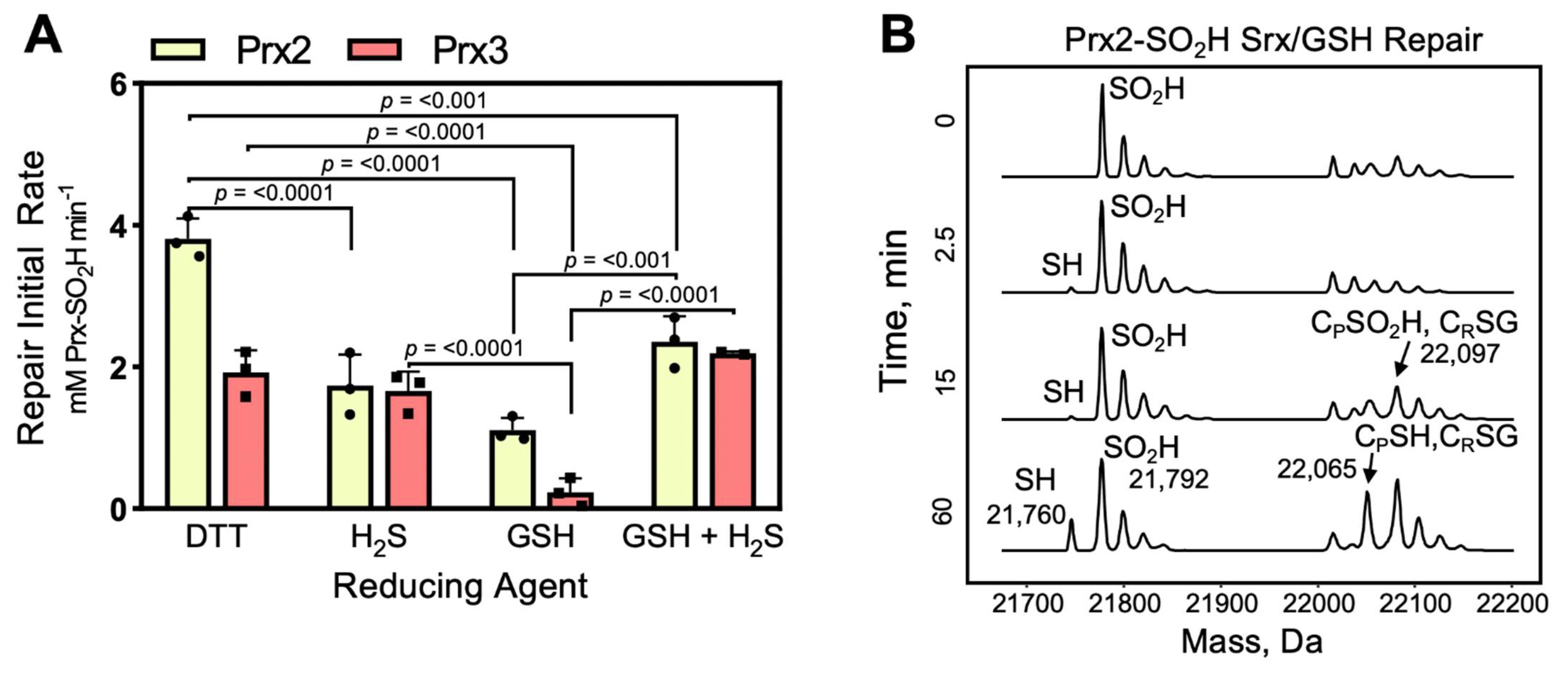 Antioxidants 10 00946 g006 Antioxidants 10 00946 g006