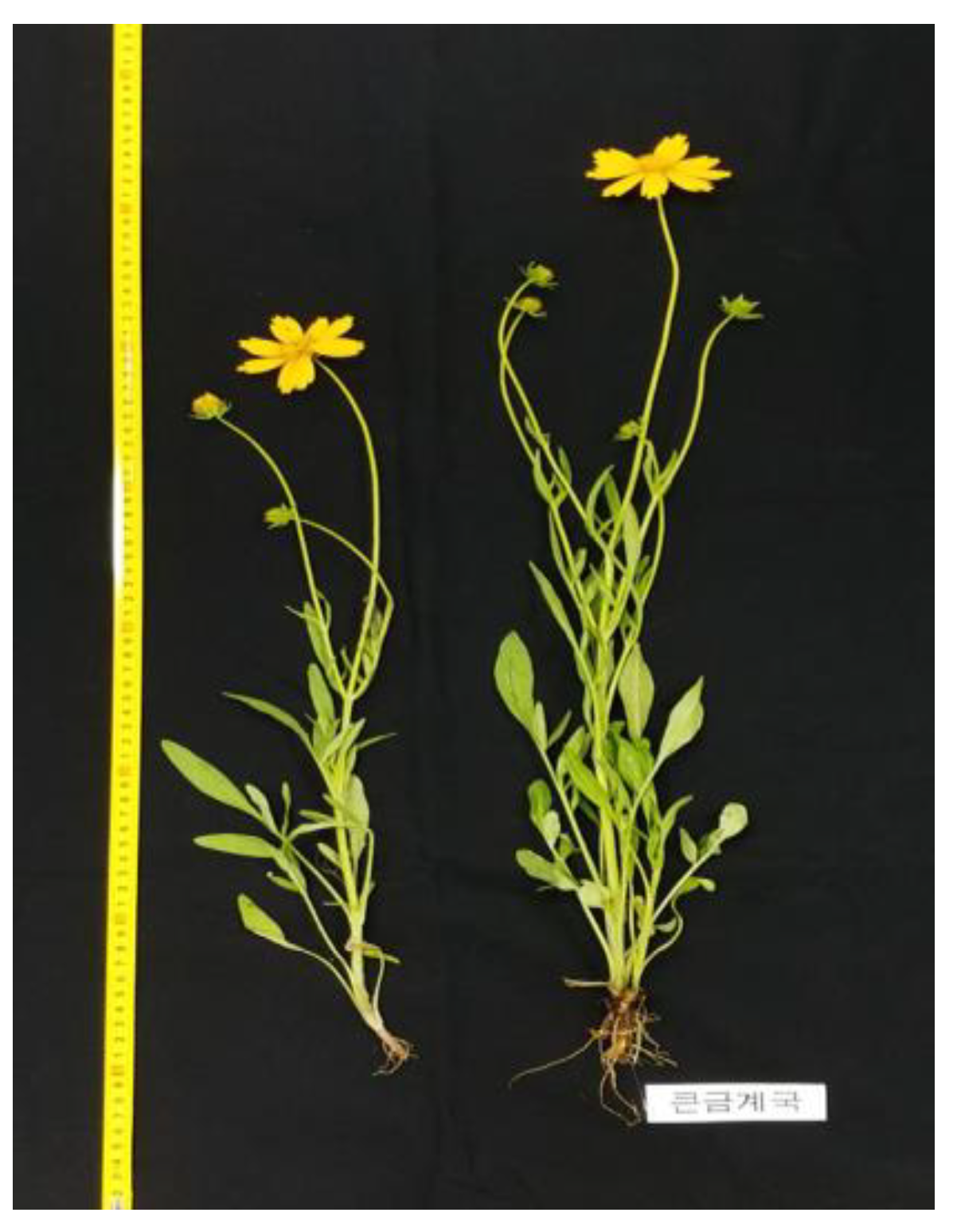 Antioxidants 10 00951 g001