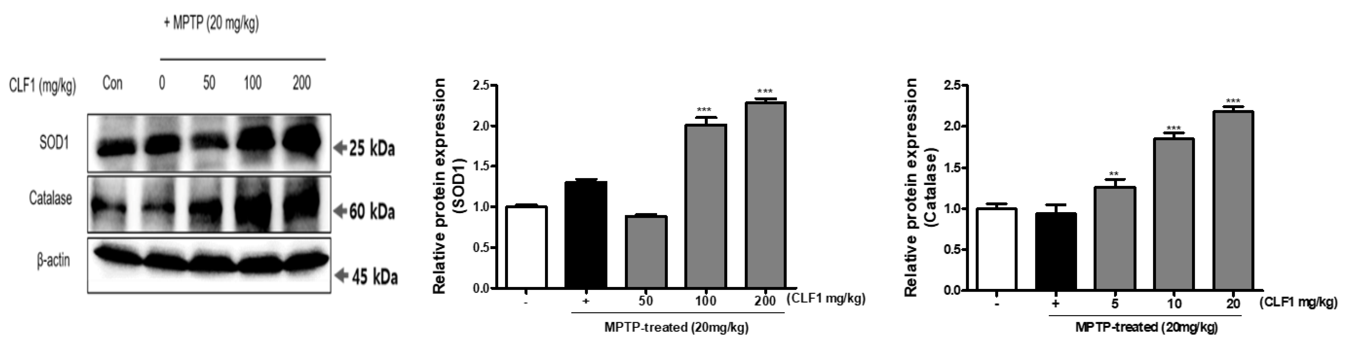 Antioxidants 10 00951 g007