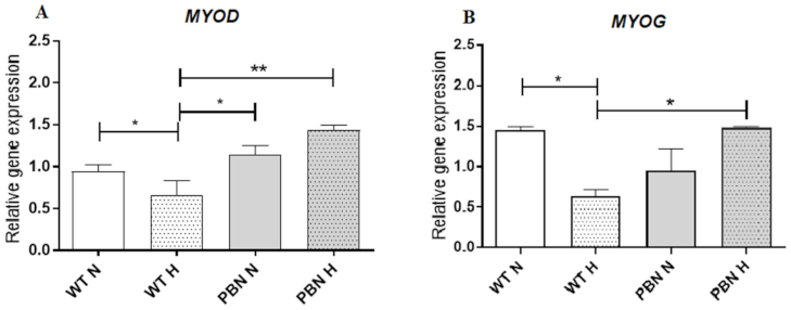 Antioxidants 10 00959 g006