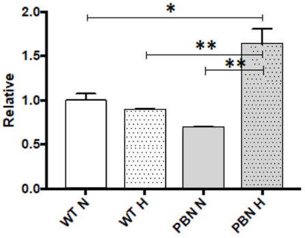Antioxidants 10 00959 g007