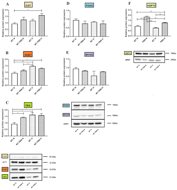 Antioxidants 10 00959 g008