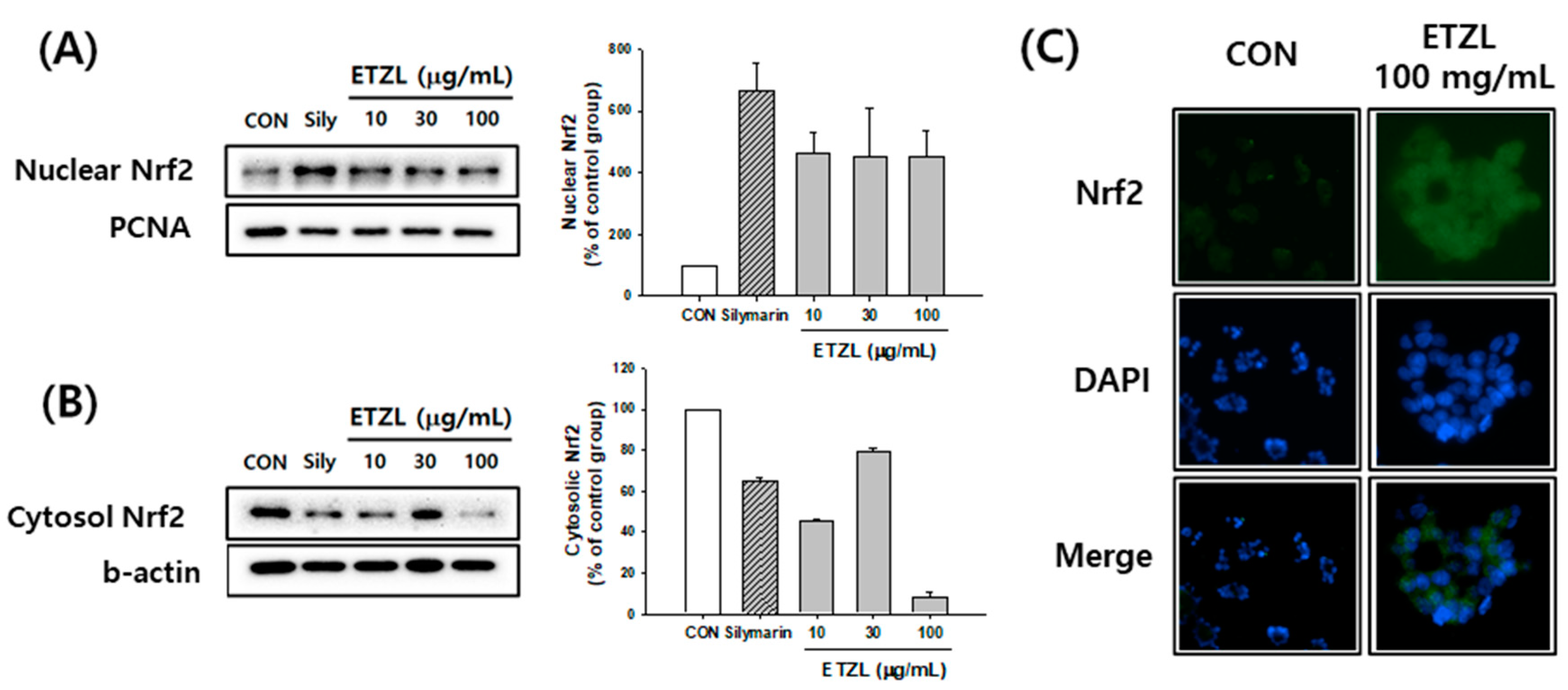 Antioxidants 10 00960 g006 Antioxidants 10 00960 g006