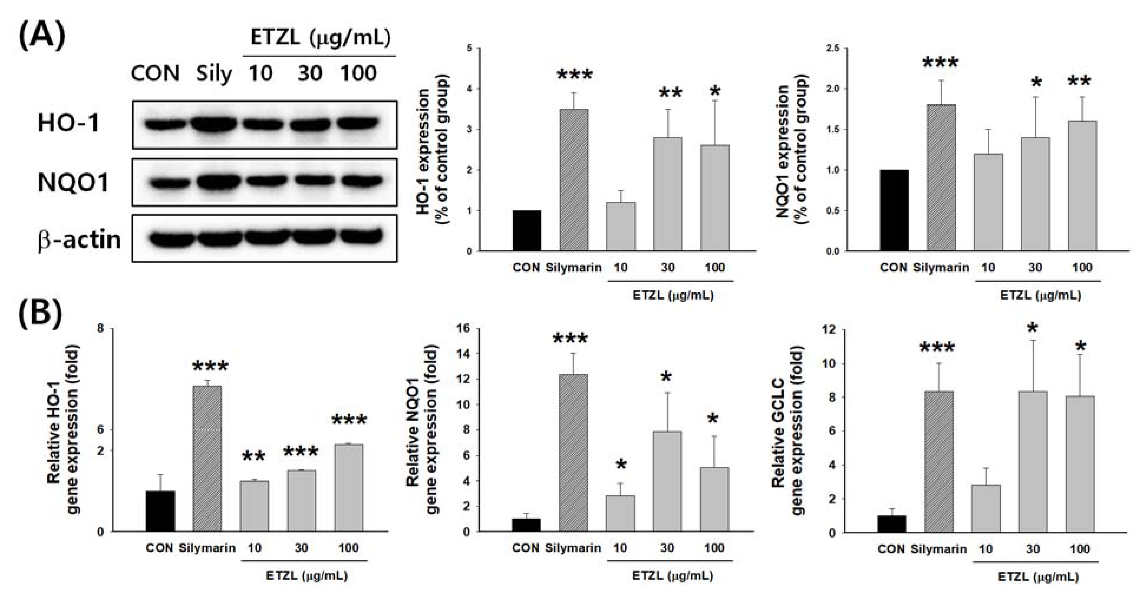 Antioxidants 10 00960 g007 Antioxidants 10 00960 g007