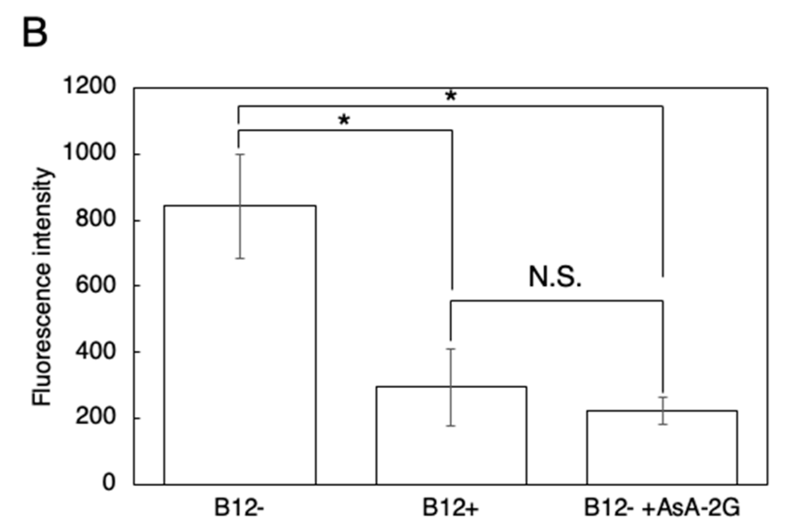 Antioxidants 10 00962 g006b Antioxidants 10 00962 g006b