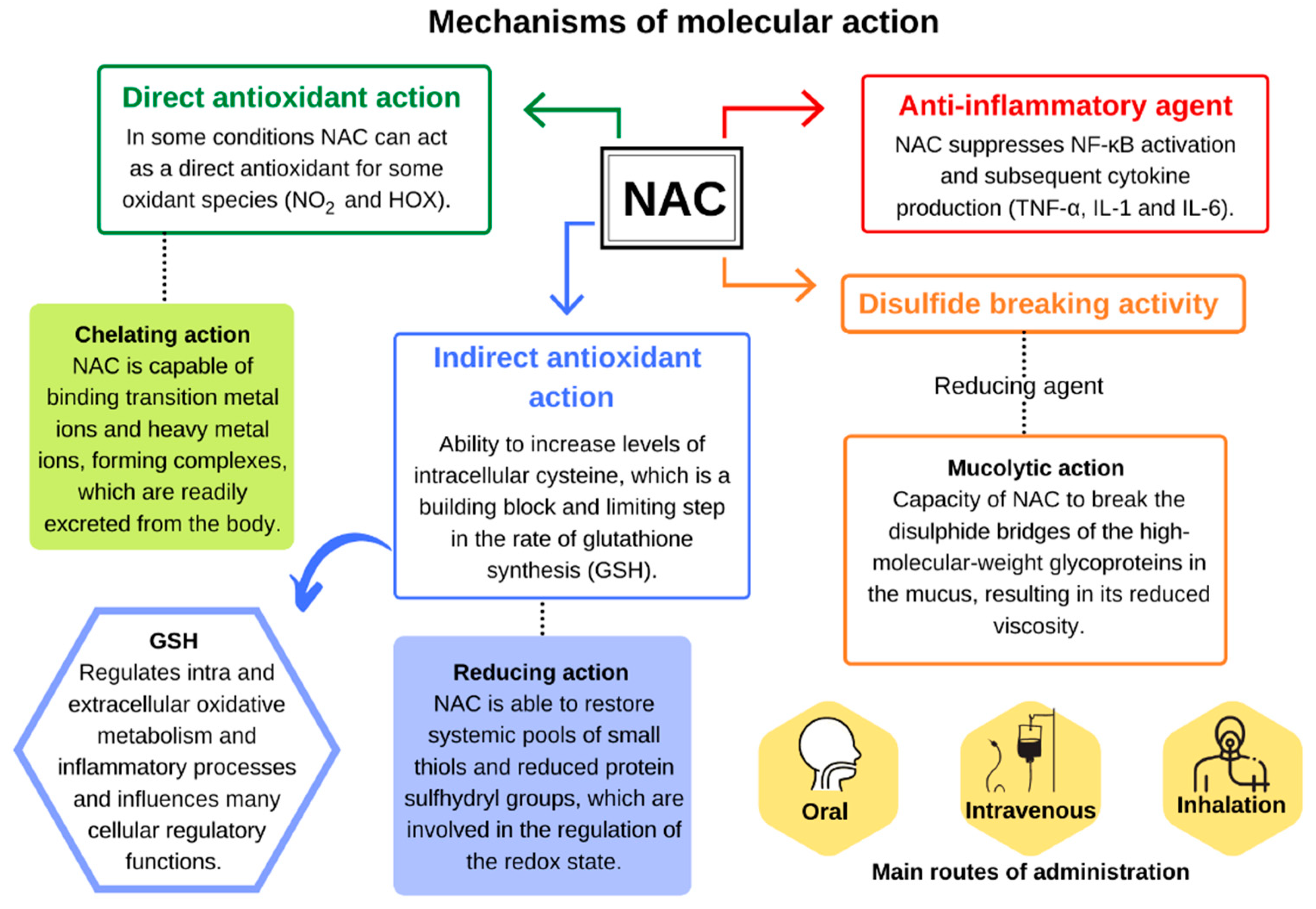 Antioxidants   Free Full Text   N Acetylcysteine NAC Impacts on ...
