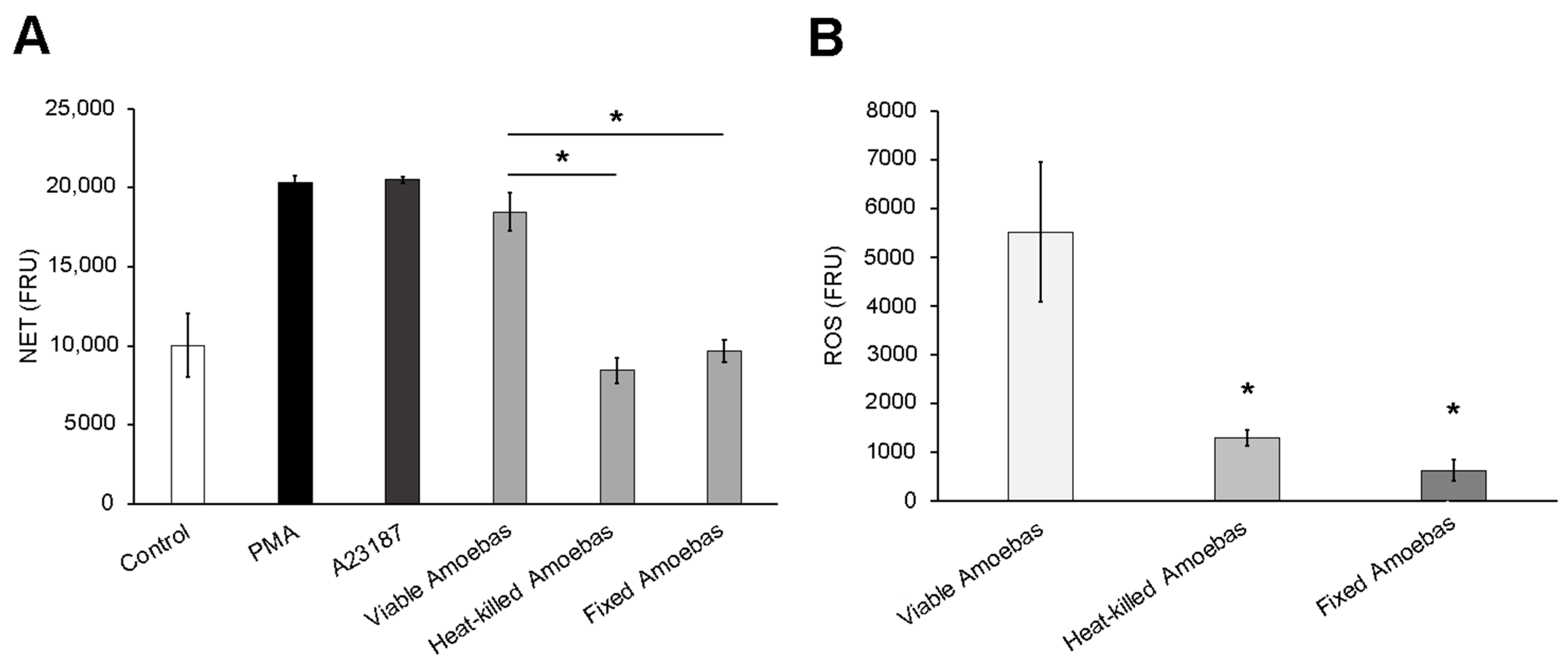 Antioxidants 10 00974 g003 Antioxidants 10 00974 g003