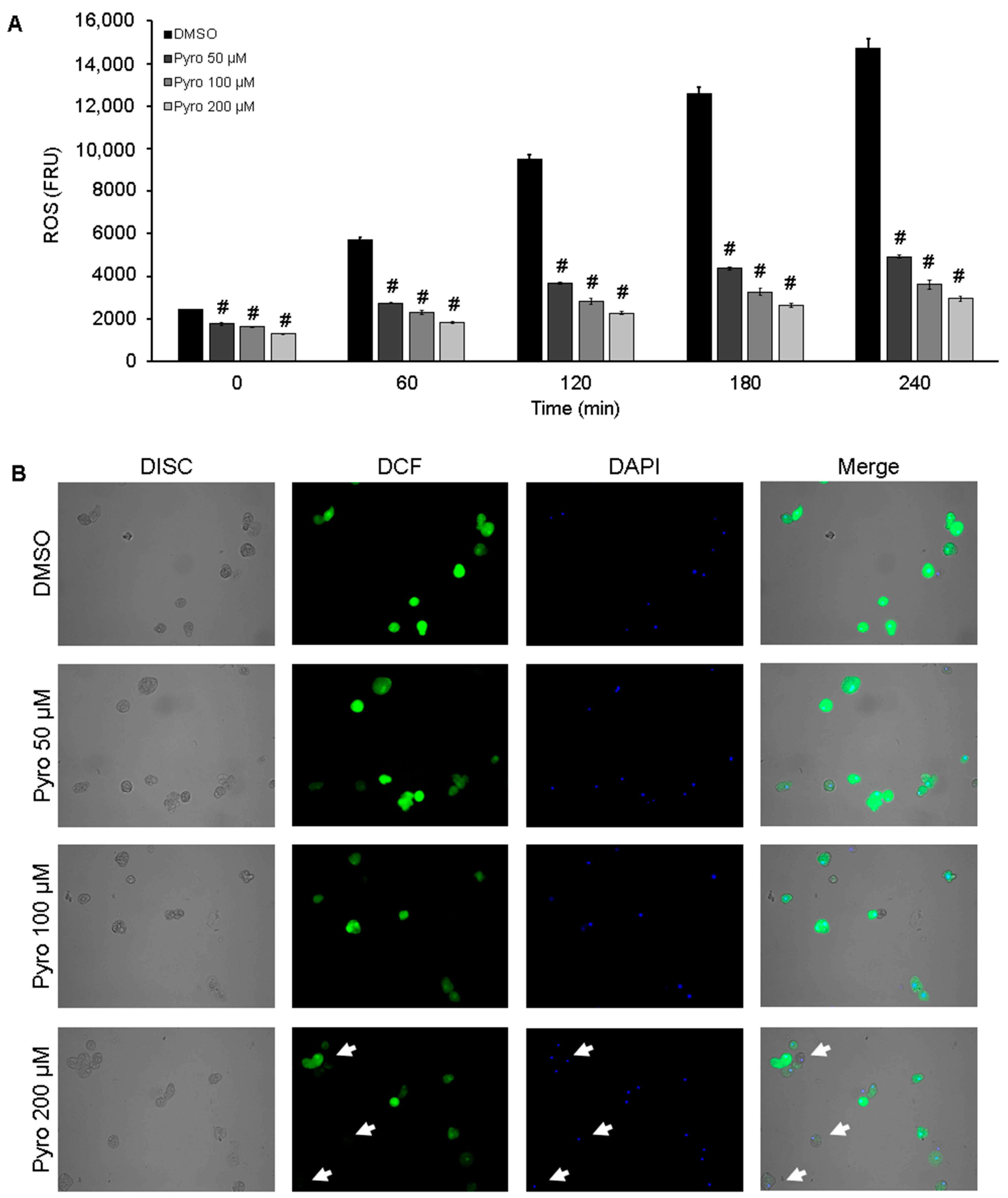 Antioxidants 10 00974 g004 Antioxidants 10 00974 g004