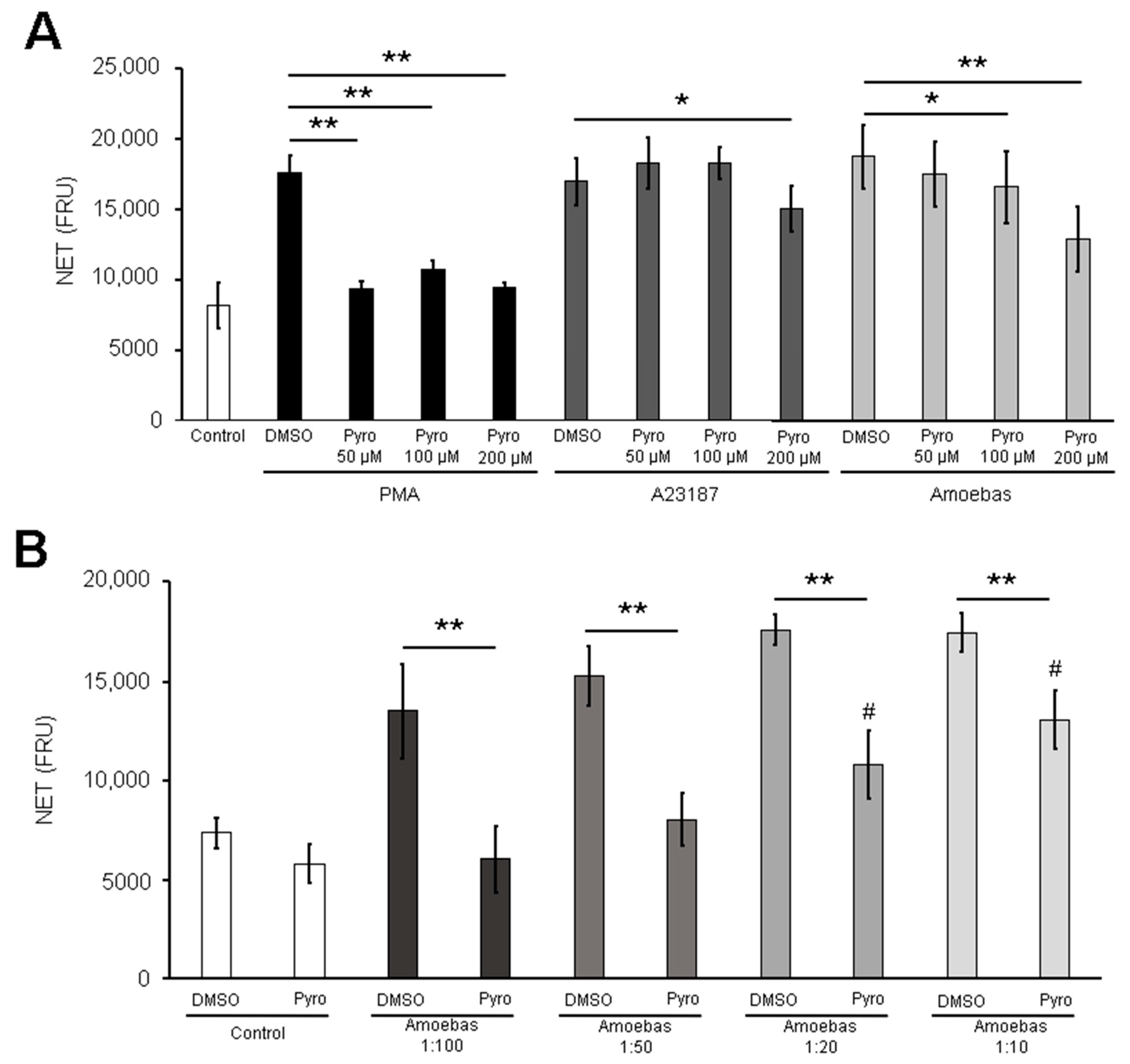 Antioxidants 10 00974 g005 Antioxidants 10 00974 g005