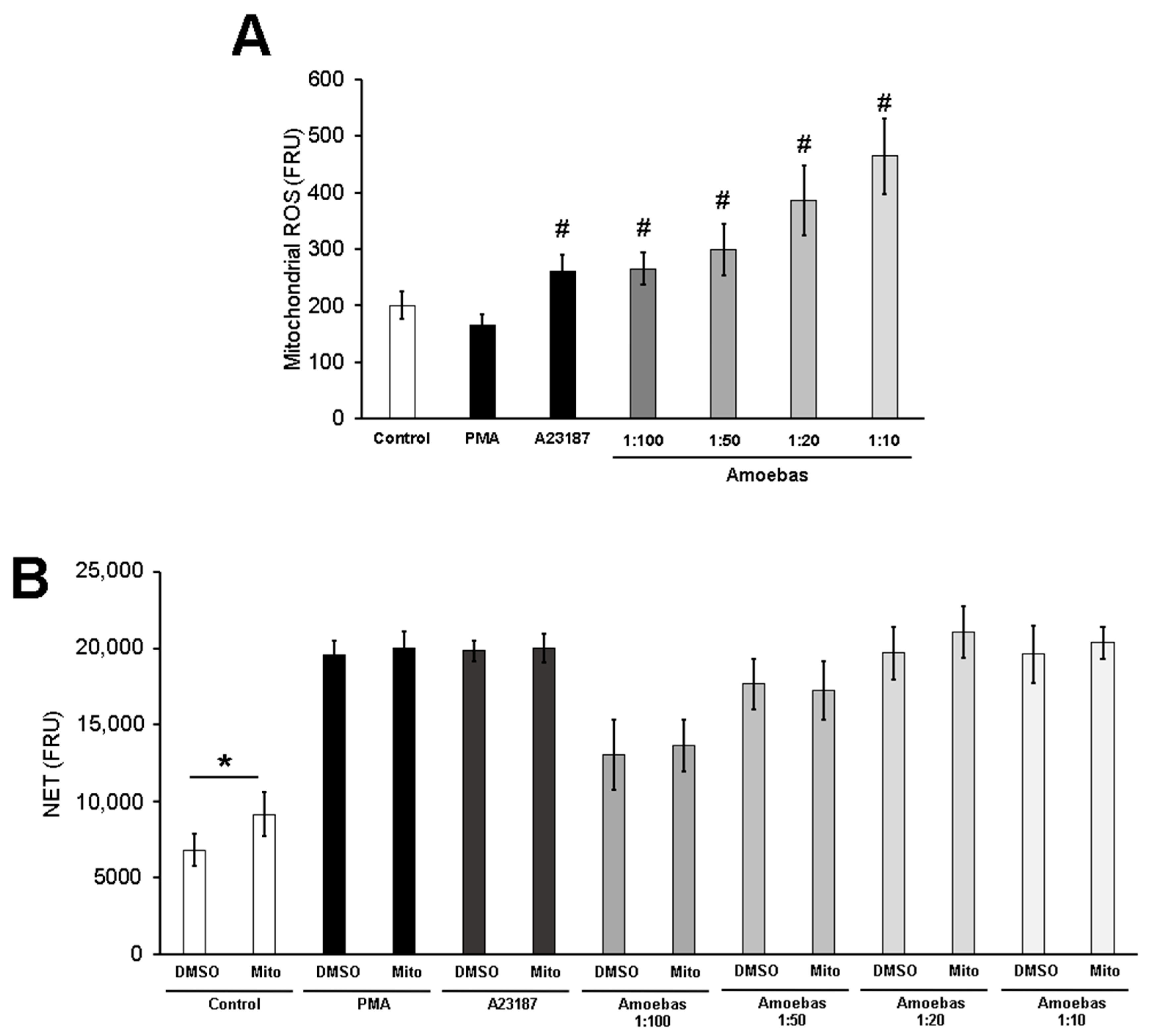 Antioxidants 10 00974 g009 Antioxidants 10 00974 g009
