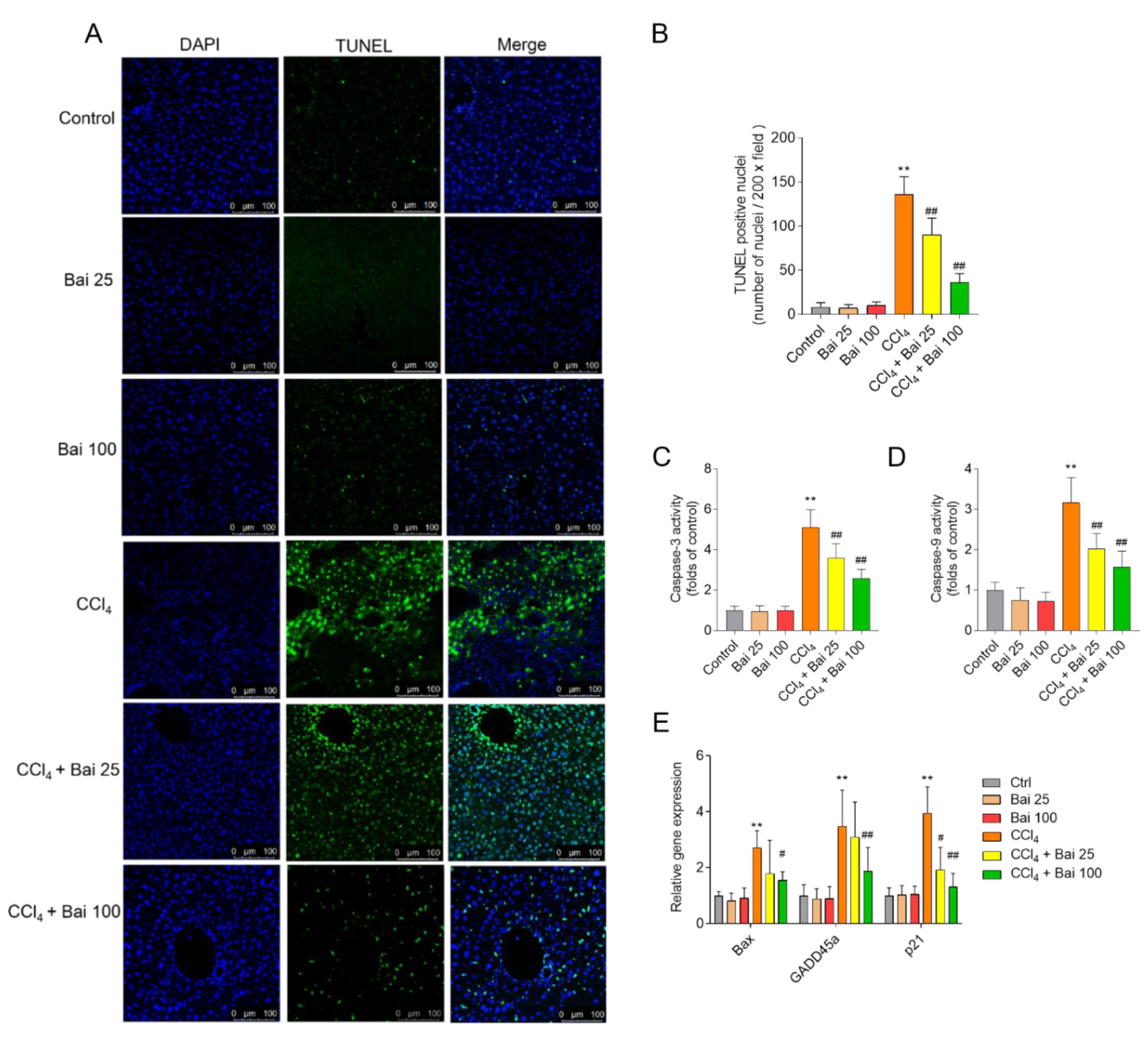 Antioxidants 10 00976 g006 Antioxidants 10 00976 g006