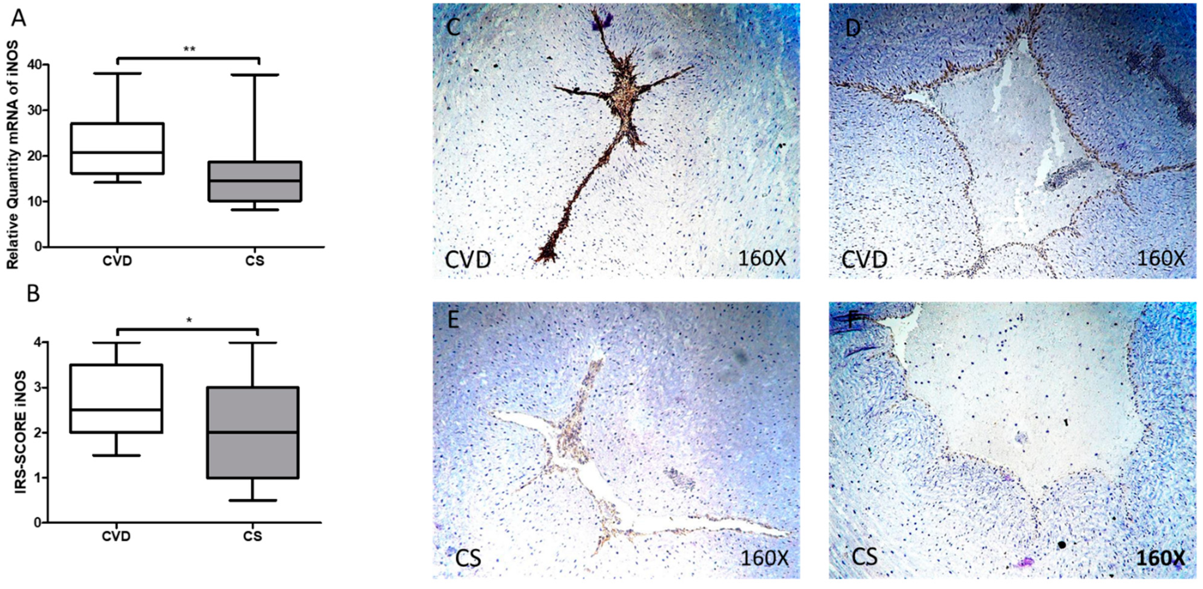 Antioxidants 10 00980 g004