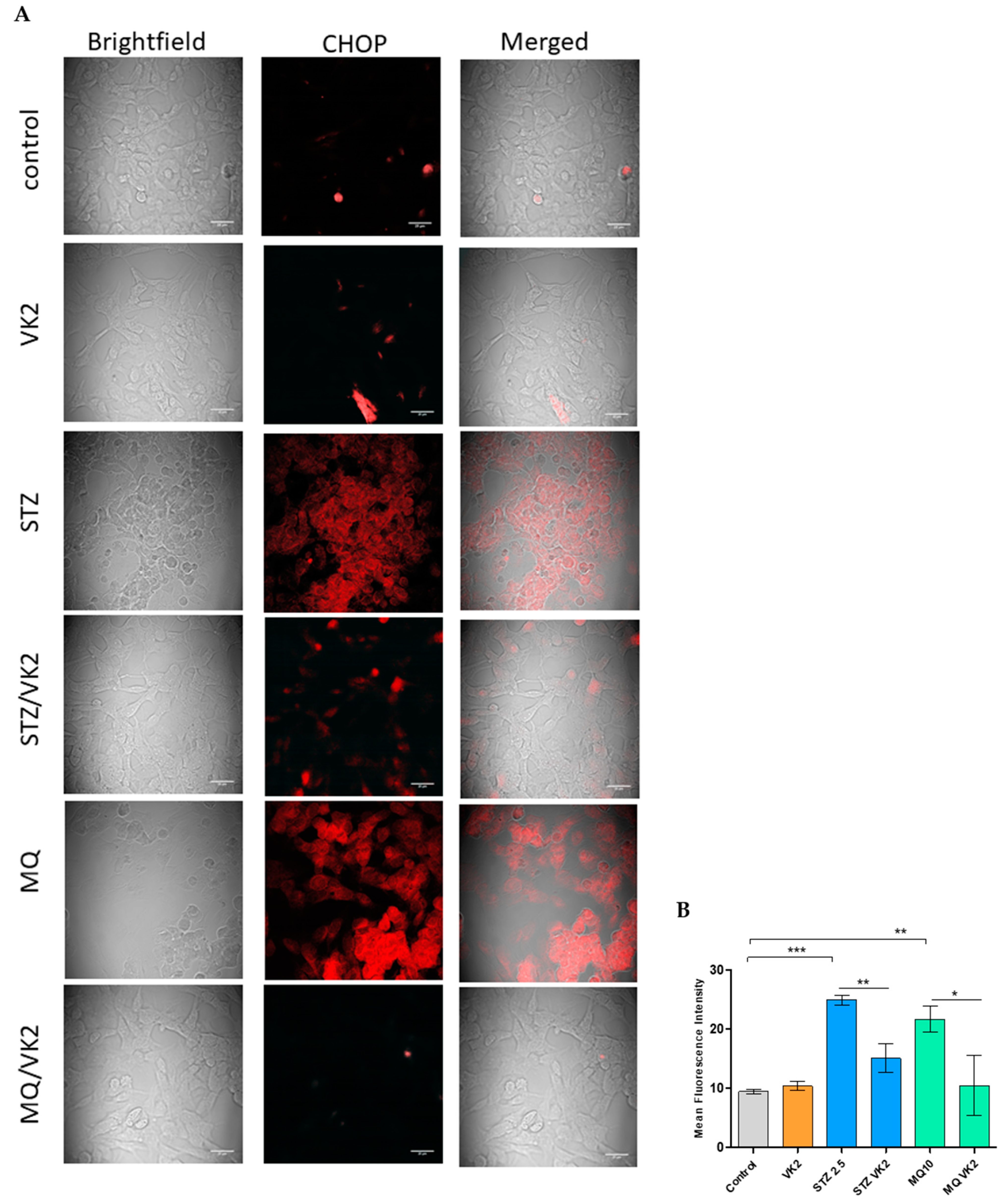 Antioxidants 10 00983 g005 Antioxidants 10 00983 g005