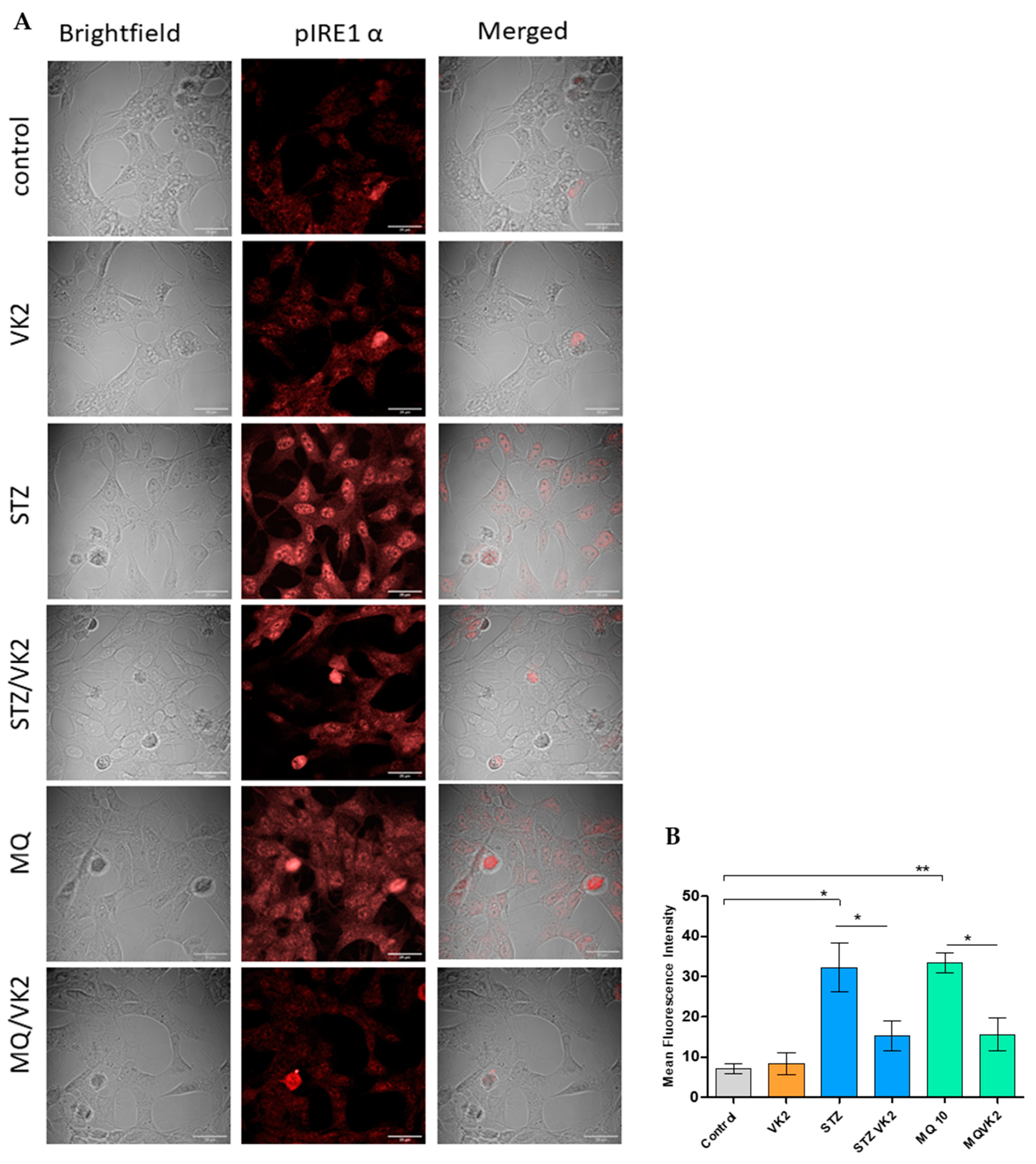 Antioxidants 10 00983 g006 Antioxidants 10 00983 g006