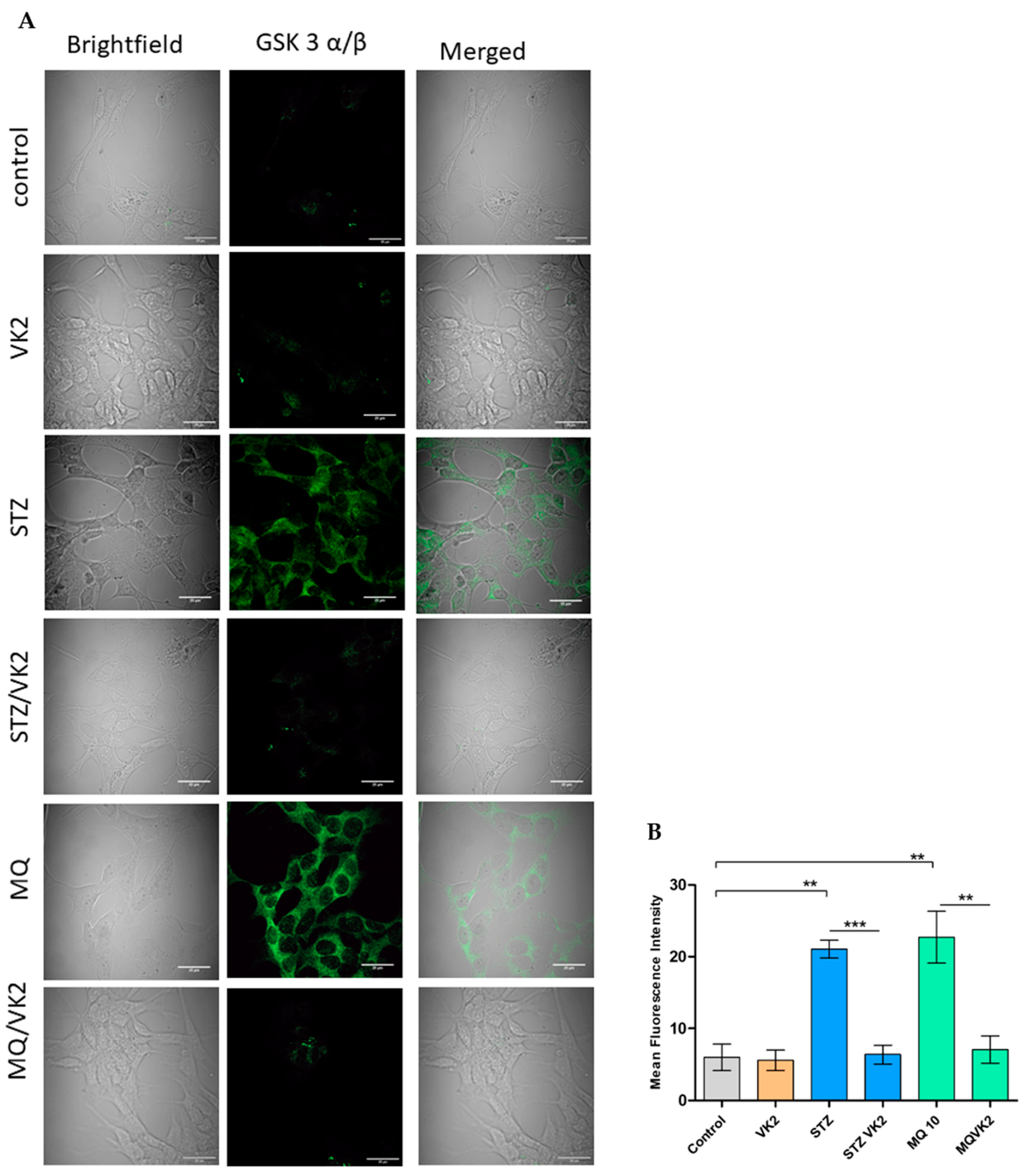 Antioxidants 10 00983 g007 Antioxidants 10 00983 g007