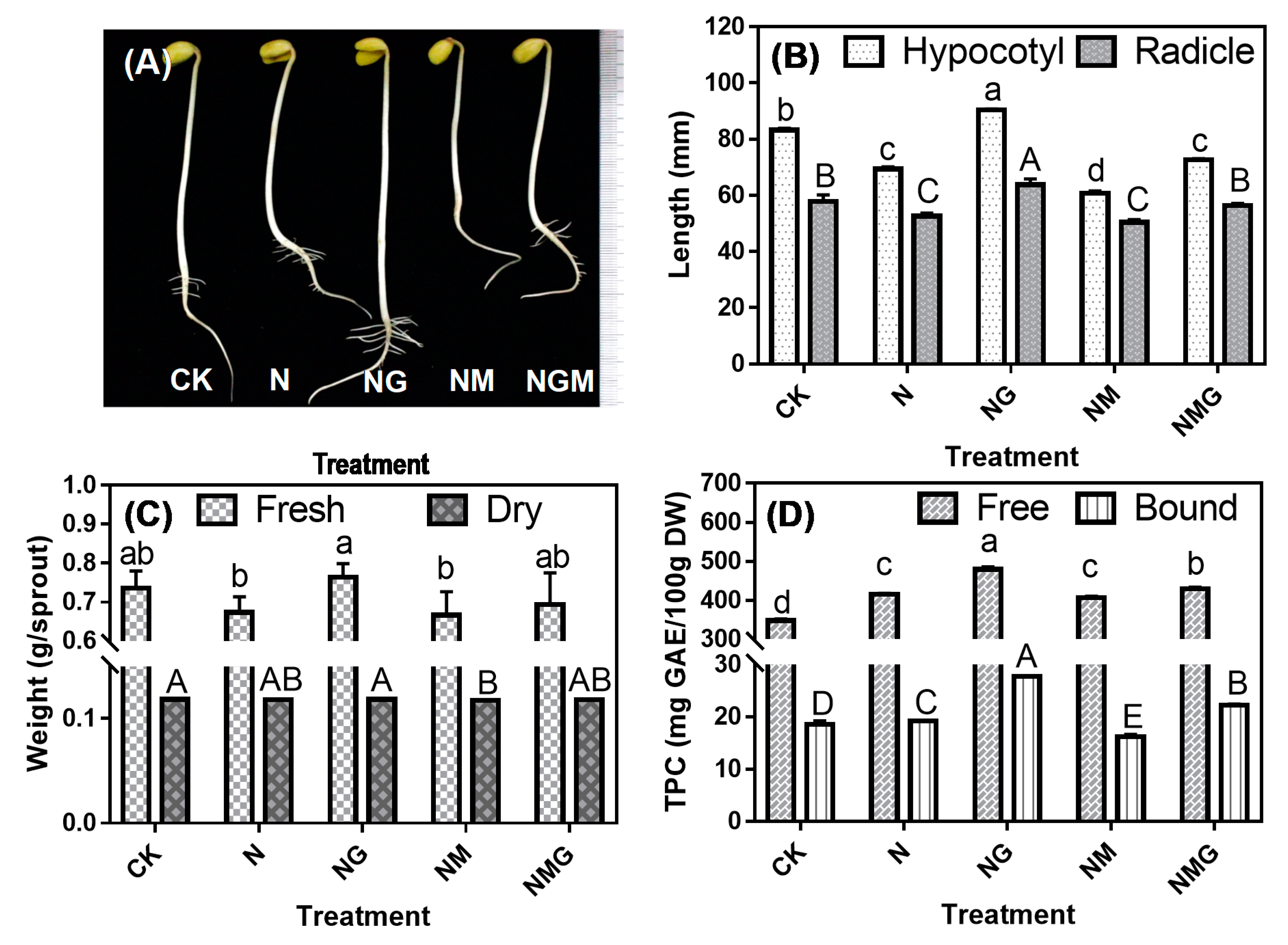 Antioxidants 10 00990 g001 550