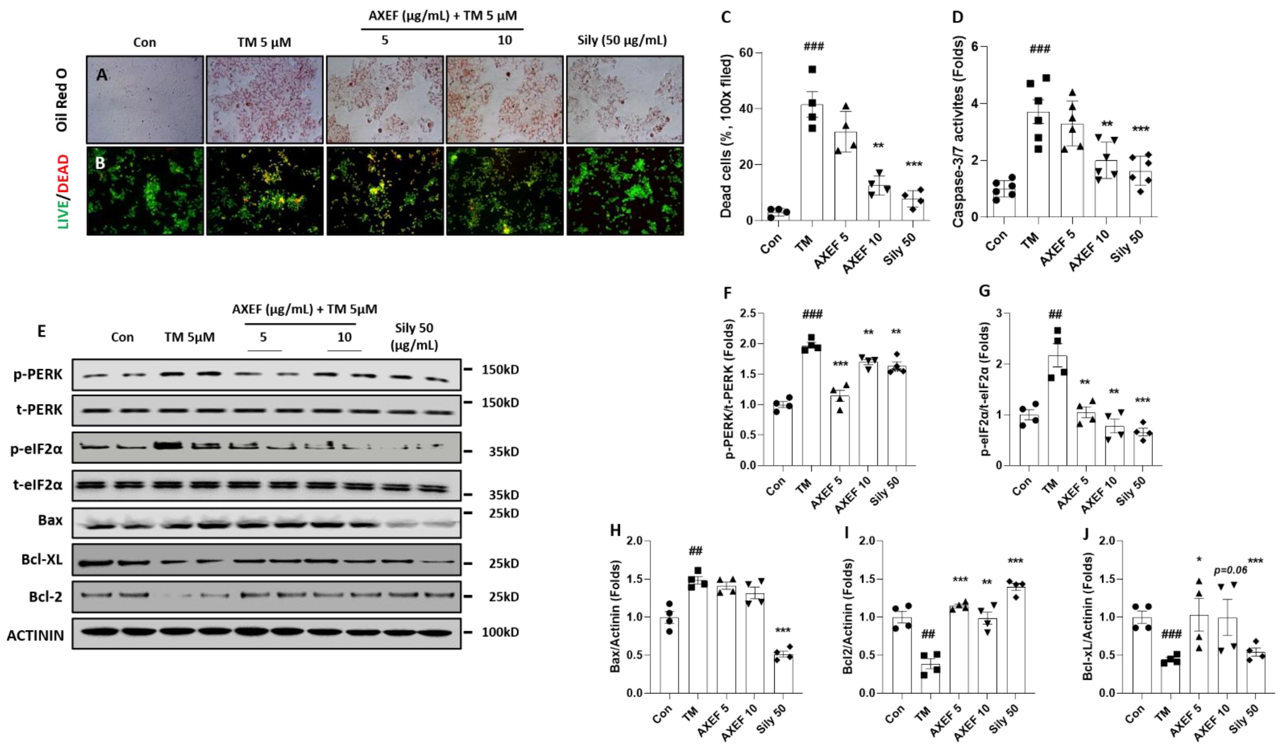 Antioxidants 10 00998 g005