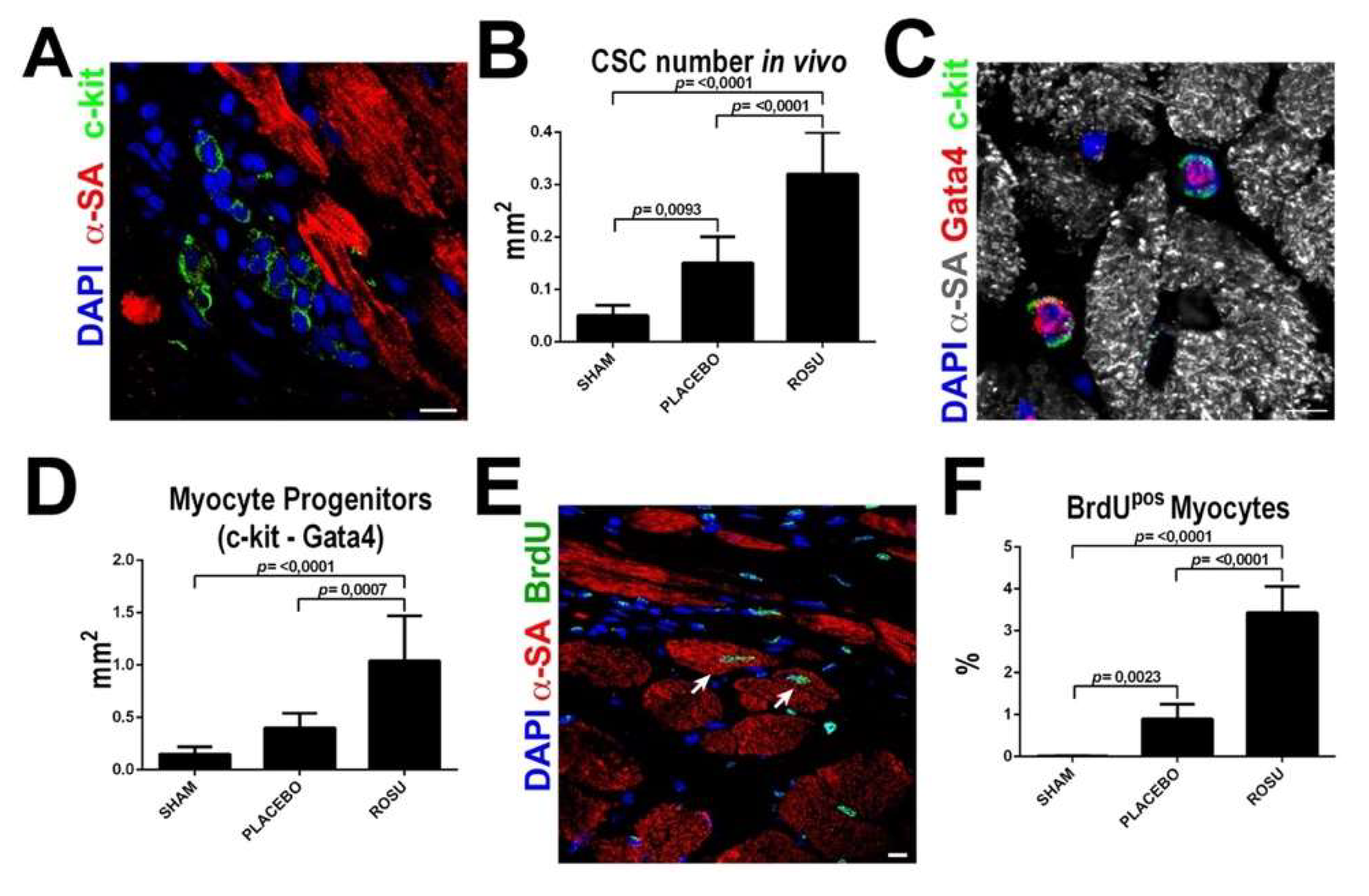 Antioxidants 10 01002 g003