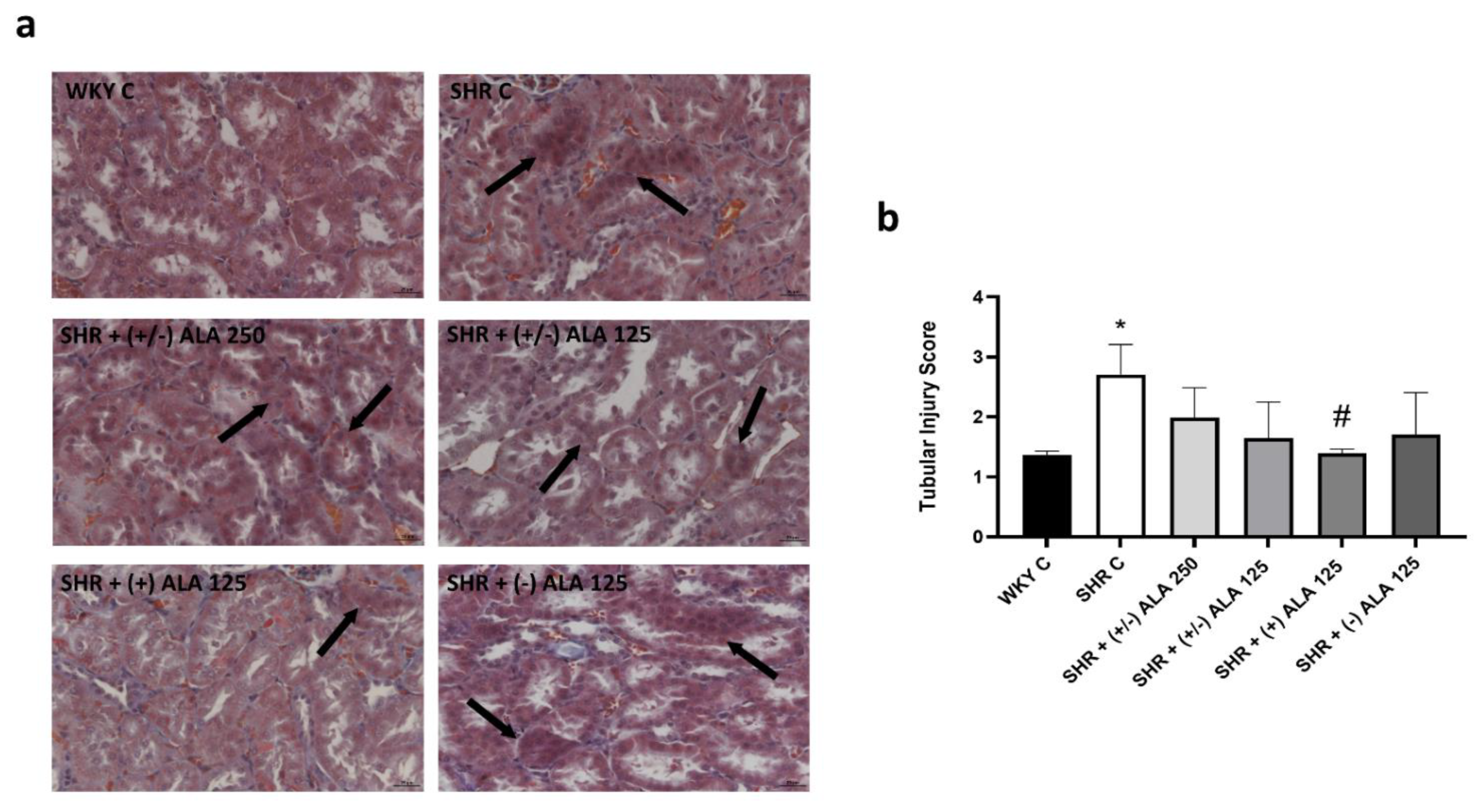 Antioxidants 10 01006 g005 Antioxidants 10 01006 g005