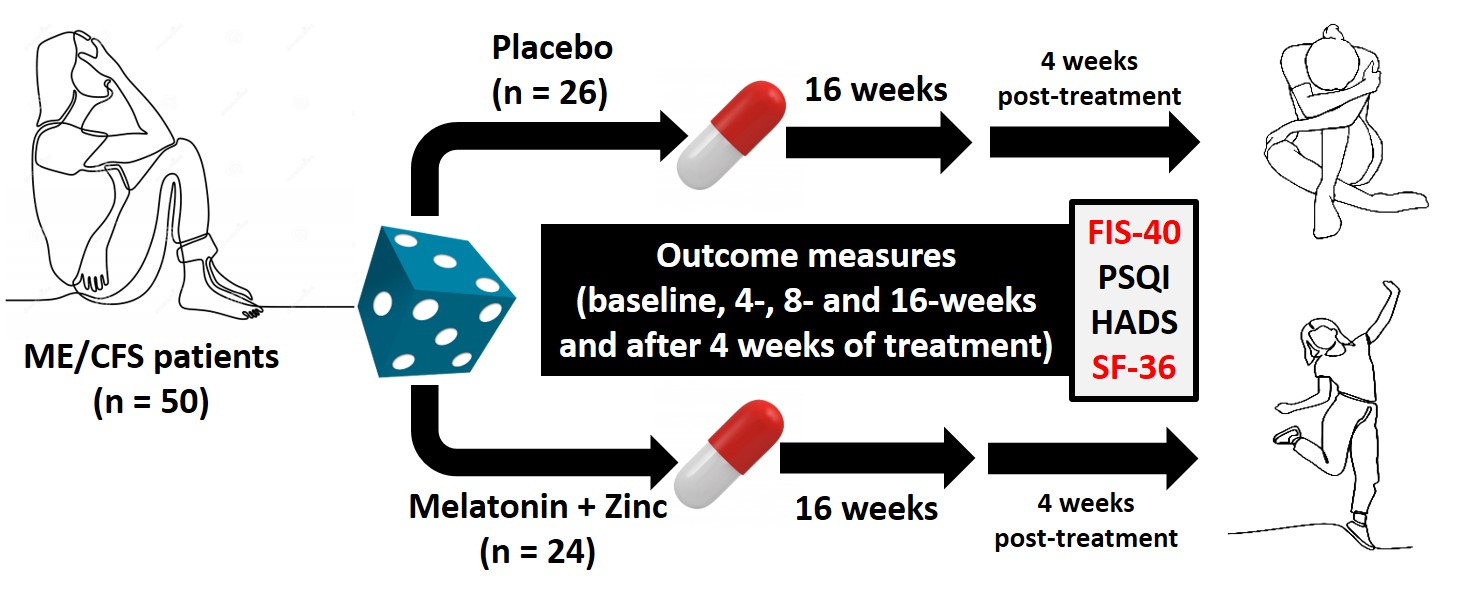 Antioxidants Free FullText Effect of Melatonin Plus Zinc