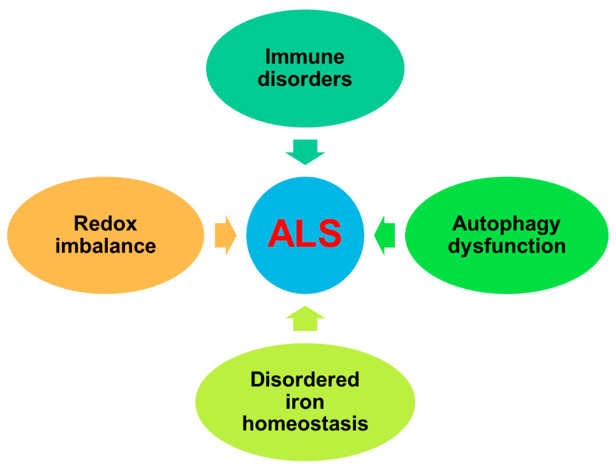 Antioxidants 10 01012 g001 550