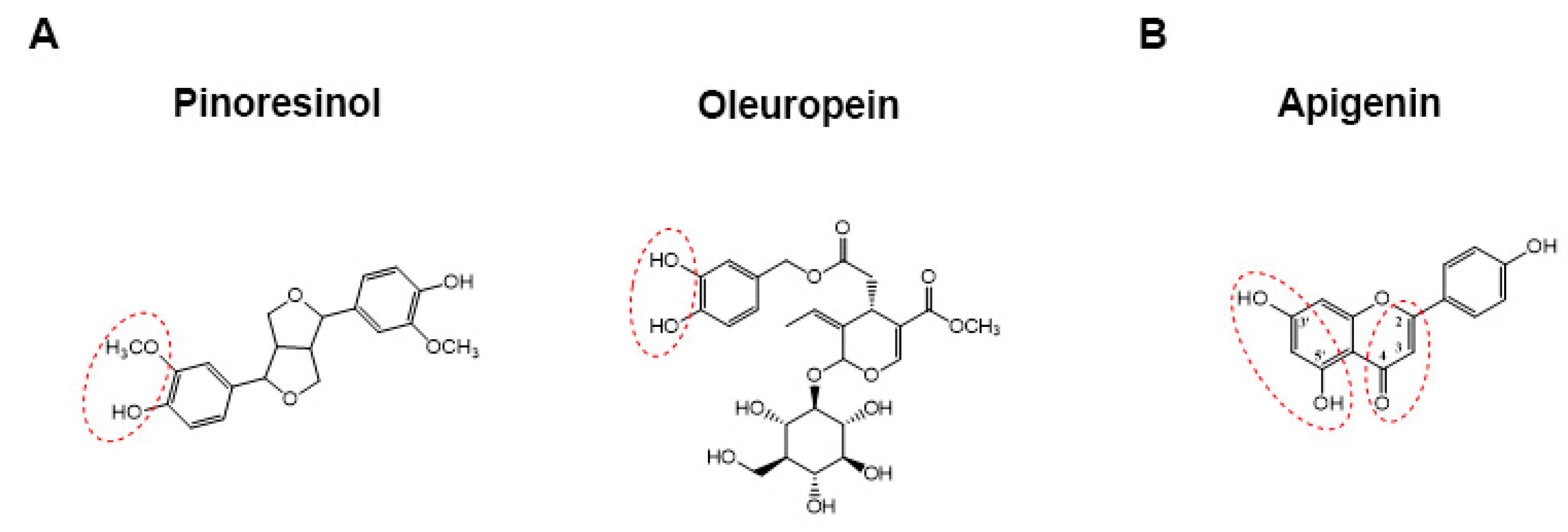 Antioxidants 10 01016 g001 550