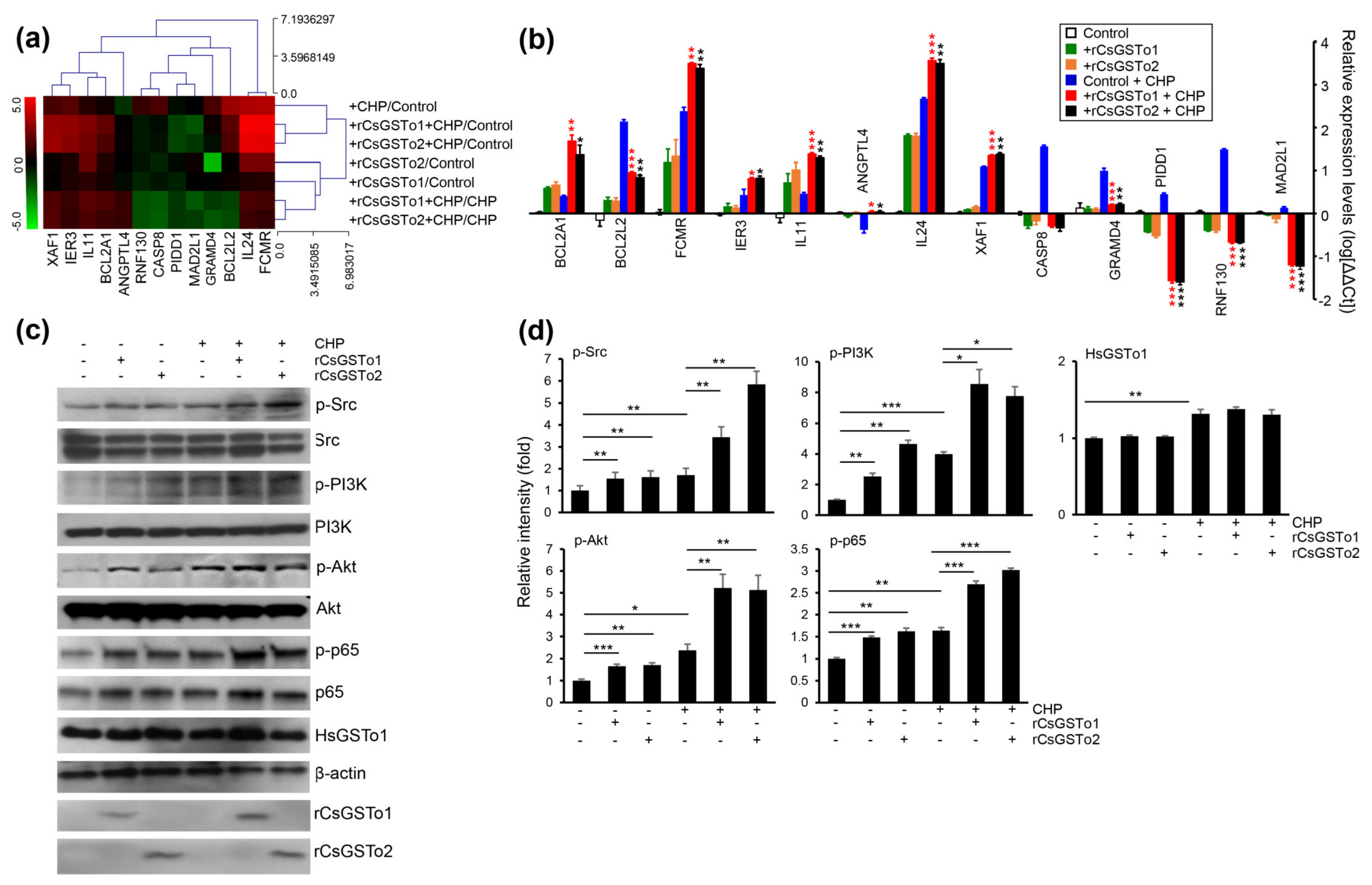Antioxidants 10 01017 g004